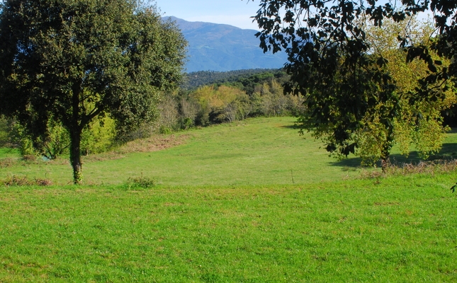 Un viatge en el temps entre boscos i camps de pastura fins al moment en què l'home va posar el peu per primera vegada al que ara és el Parc del Montnegre i el Corredor