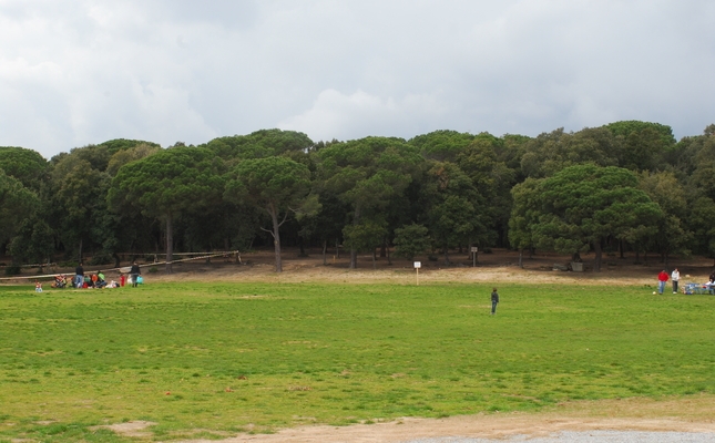 Un viatge en el temps entre boscos i camps de pastura fins al moment en què l'home va posar el peu per primera vegada al que ara és el Parc del Montnegre i el Corredor