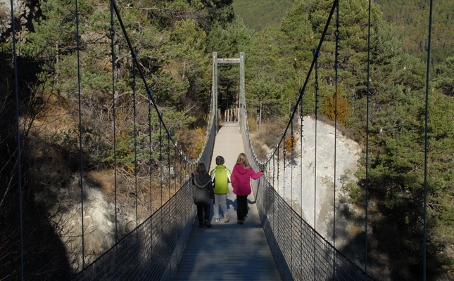 Resseguim l'antiga via ferroviària que es va construir el 1914 per portar la fusta entre els municipis de Gisclareny i Guardiola de Berguedà