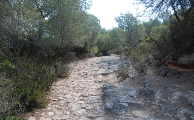 Anem a la Mola de Formentera pel camí de sa Pujada - És una ruta senzilla i apta per a tots els públics que ens permetrà copsar l'essència de Formentera. En només dos quilòmetres, anirem del pla fins a la muntanya boscosa de l'illa. El camí, empedrat, és de visita obligada i regala una vista impressionant de Formentera i les seves aigües turquesa.