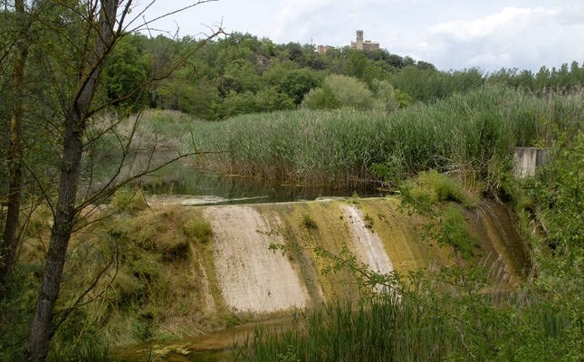 Caminada pel cor del Lluçanès, on aquesta riera travessa la subcomarca de nord a sud, entre lloms suaus i grans masos