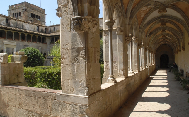 Ruta per la serralada de Marina entre Santa Coloma de Gramenet i Badalona 