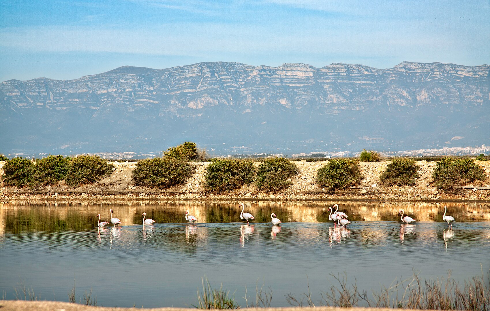 La punta de la Banya és la reserva del Parc Natural del Delta de l’Ebre