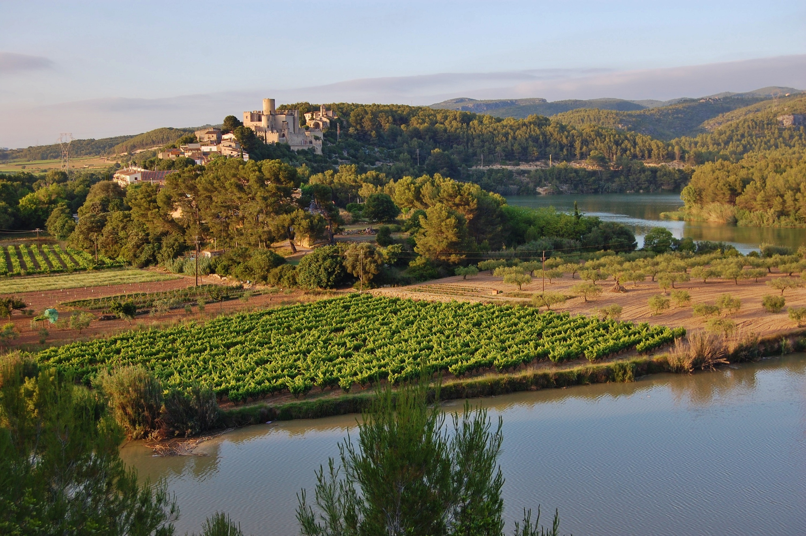 El Parc del Foix alberga una gran varietat d’espais naturals