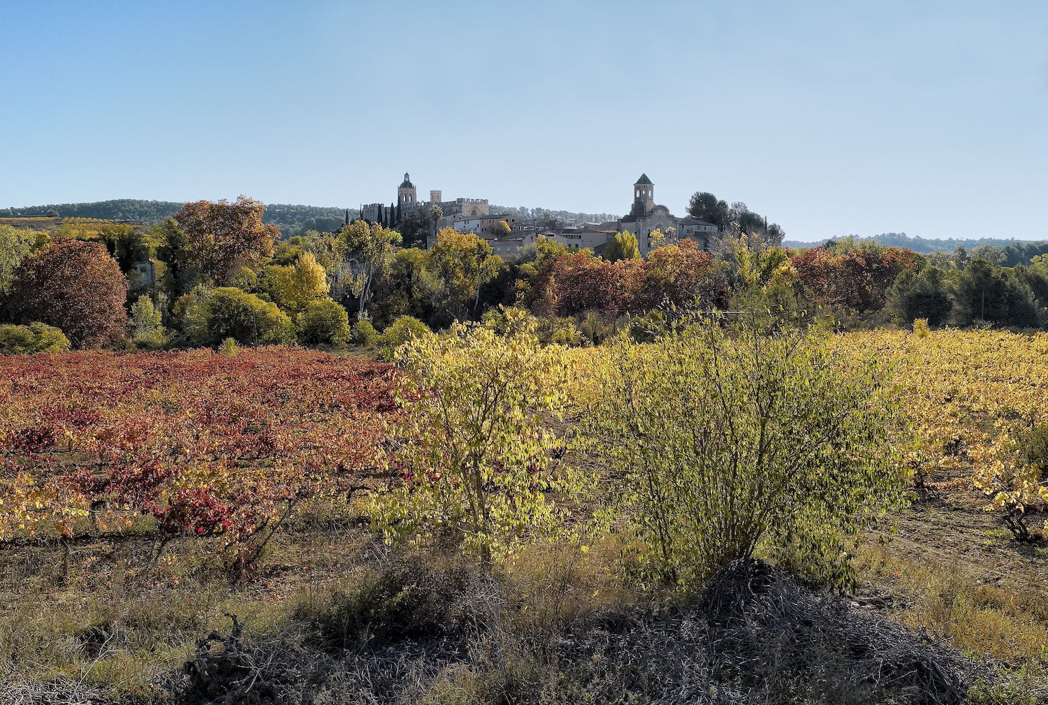 El nucli de Santes Creus, fundat a redós del monestir
