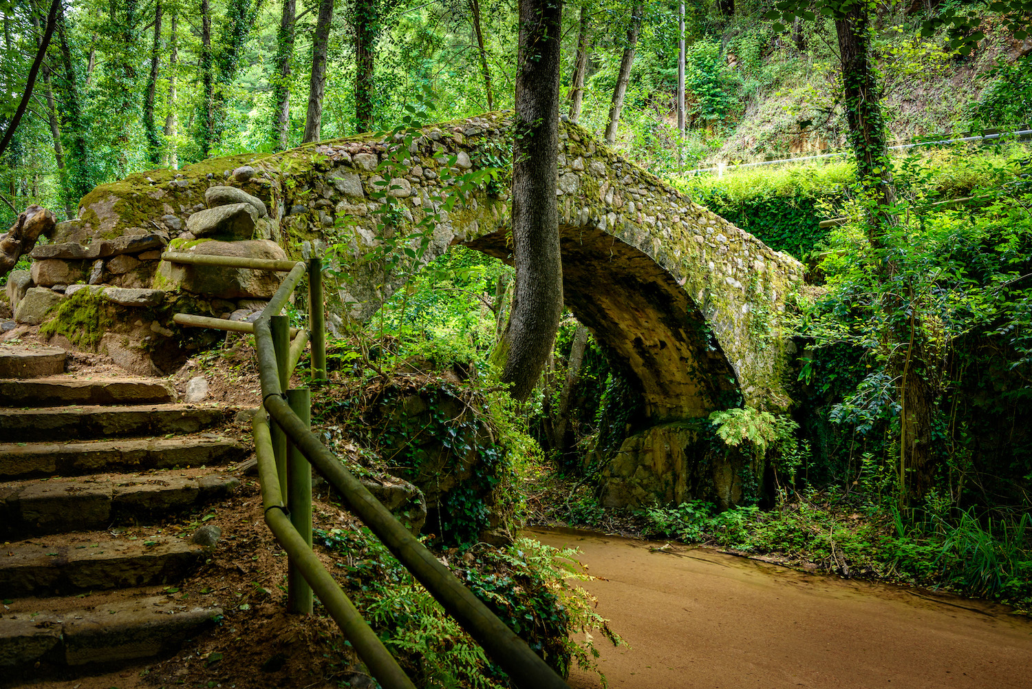 El pont romànic del Molí de les Pipes, a la riera d’Arbúcies