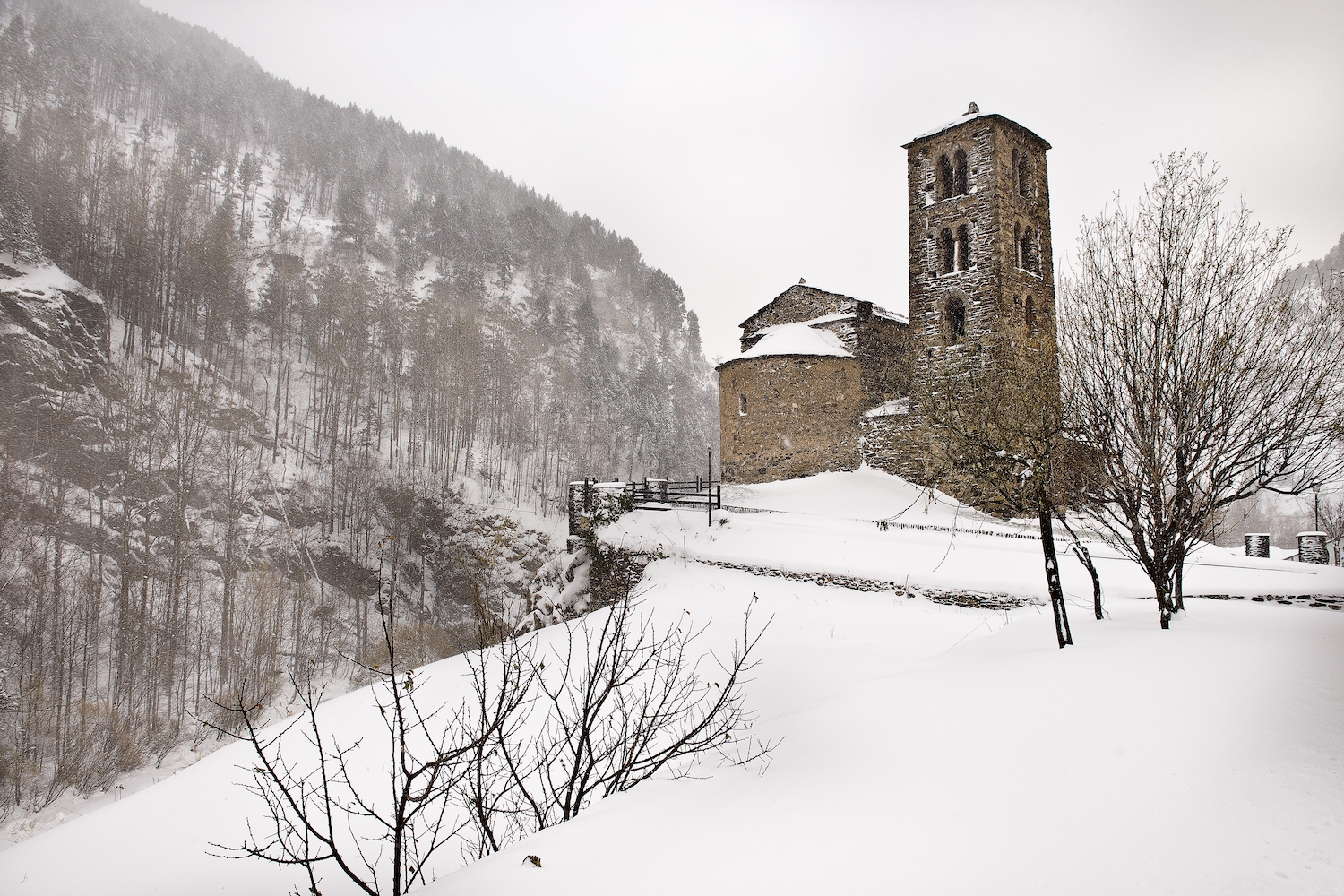 Sant Joan de Caselles