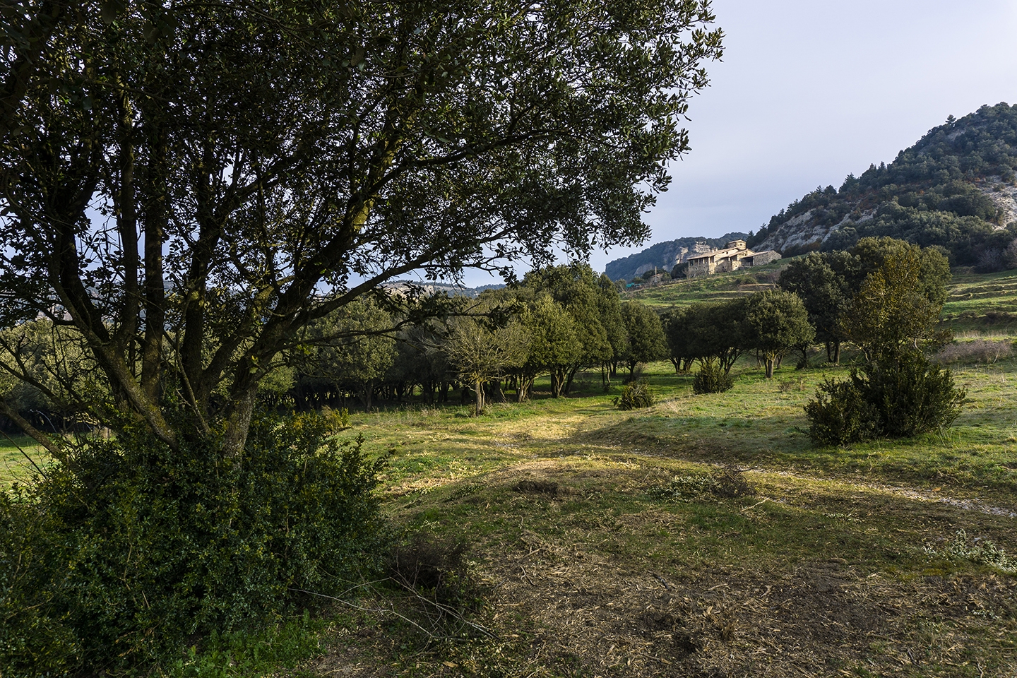 La Perereda és un mas situat a la vora de la carretera que uneix Tavertet amb l’Esquirol, sobre les cingleres de la riera de Balà.