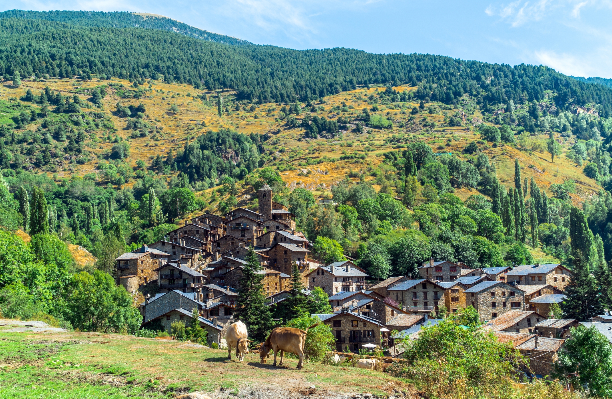Vista d'Os de Civís, un dels pobles més aïllats del Pirineu