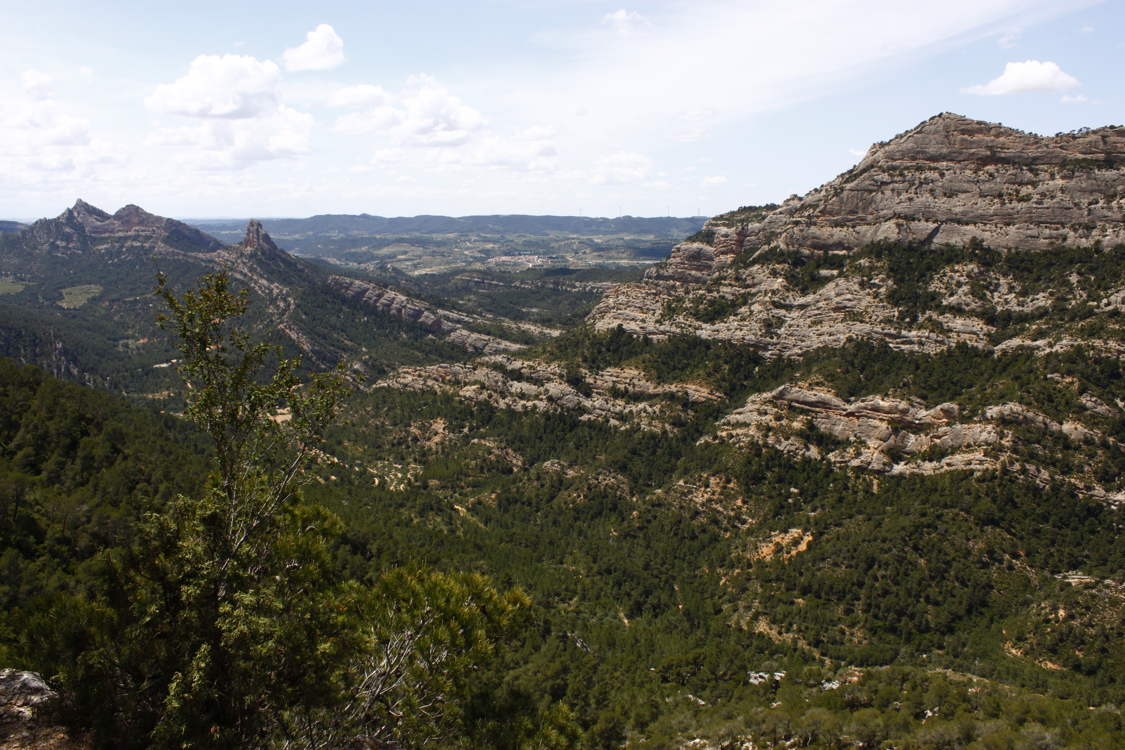 Serra de Pàndols