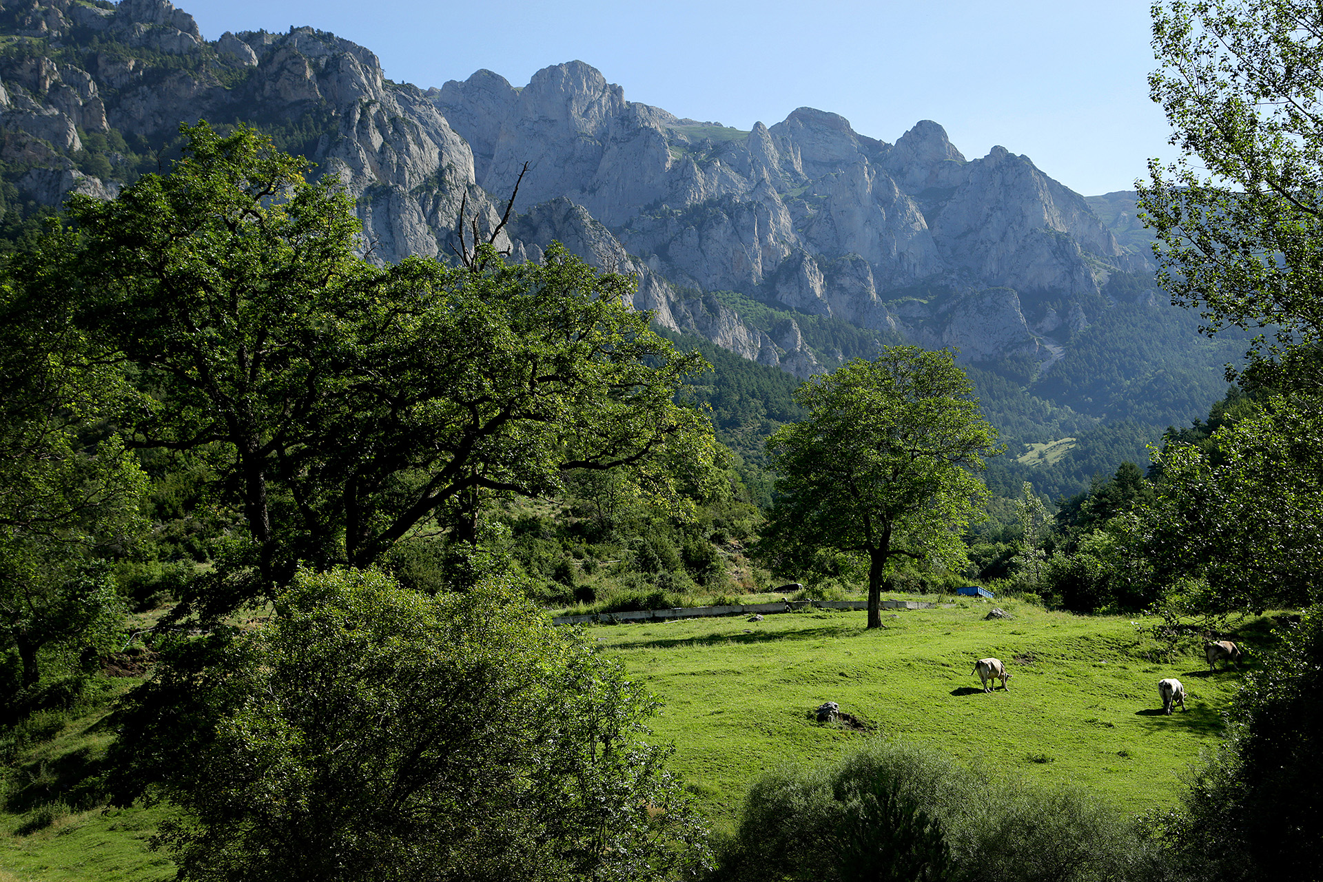 Des del veïnat de l’Hospitalet de Roca-sança es pot ascendir a la Tosa d’Alp a través del coll de Jou Des del veïnat de l’Hospitalet de Roca-sança es pot ascendir a la Tosa d’Alp a través del coll de Jou