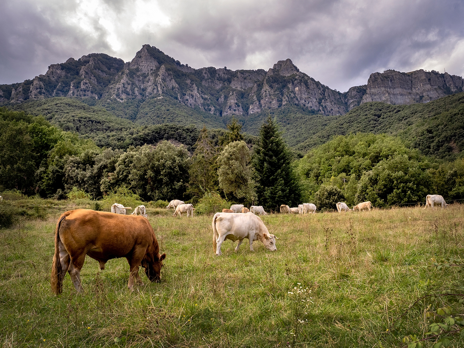 La Vall d'en Bas i la pagesia La Vall d'en Bas i la pagesia