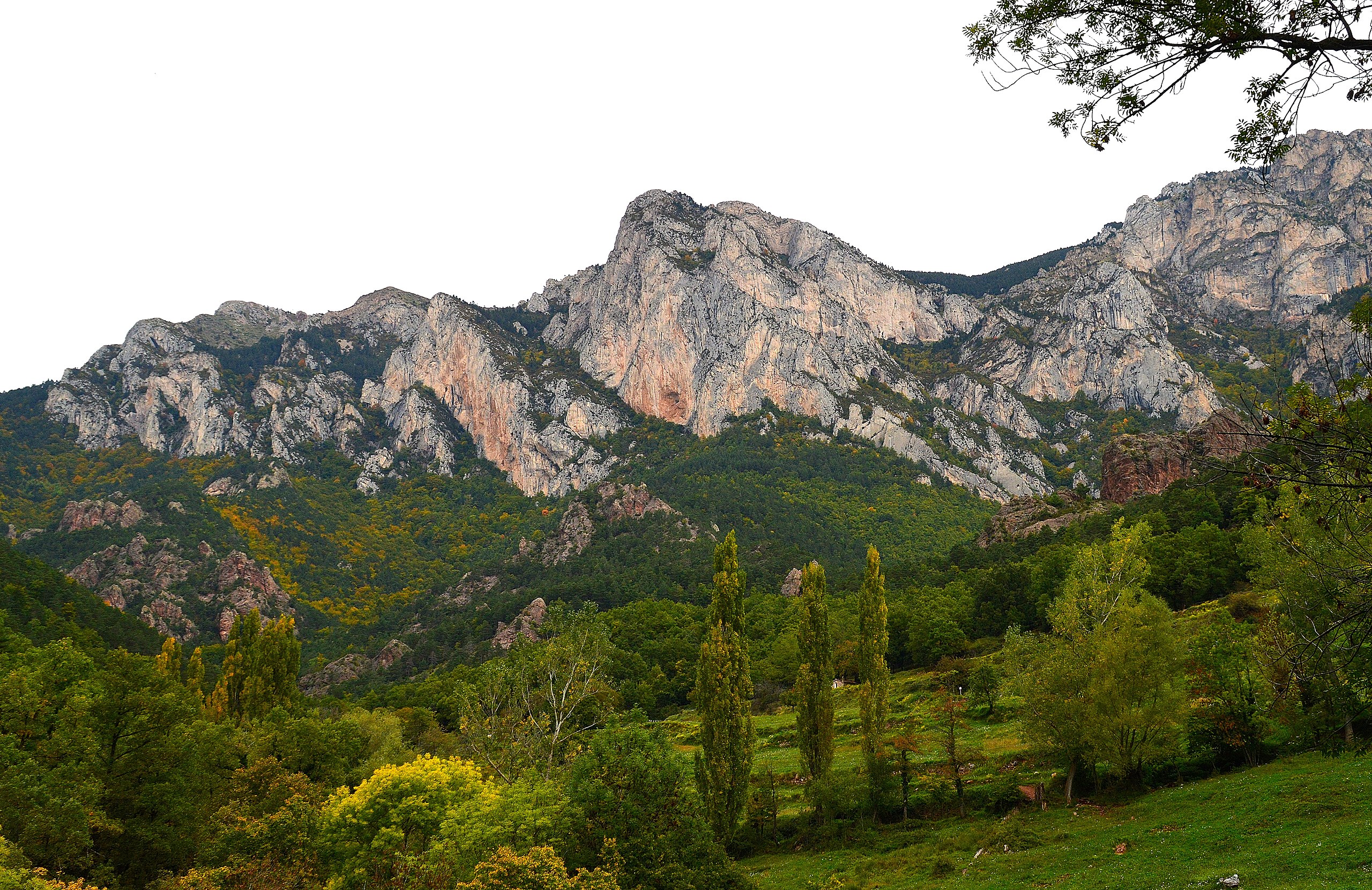 A la vall de Gréixer podem trobar una gran varietat de bolets