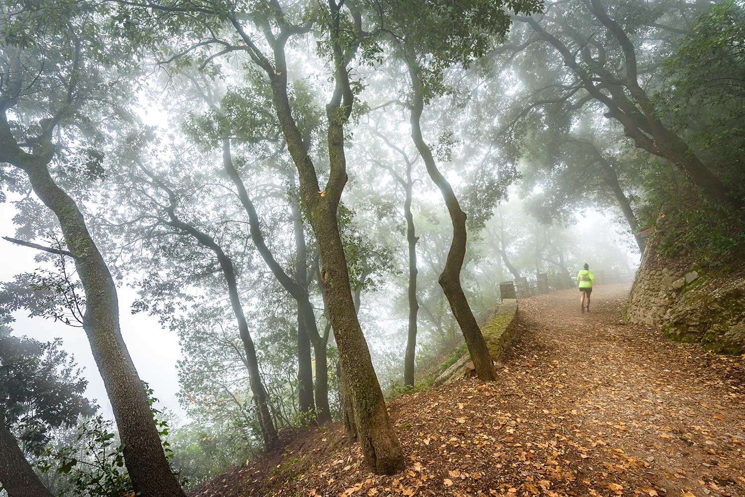Camí dels Degollats