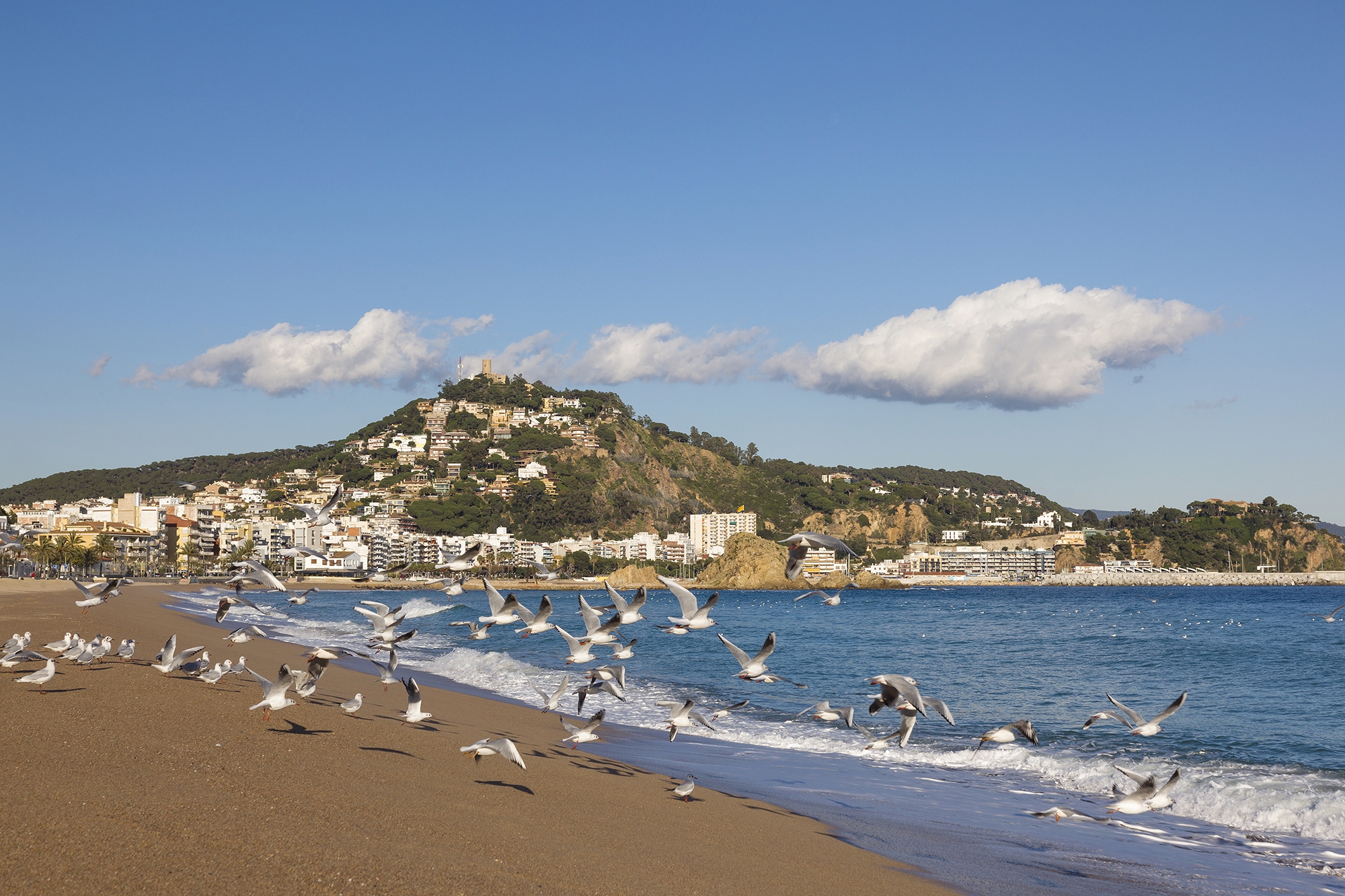 La platja de Blanes és la primera de la Costa Brava La platja de Blanes és la primera de la Costa Brava