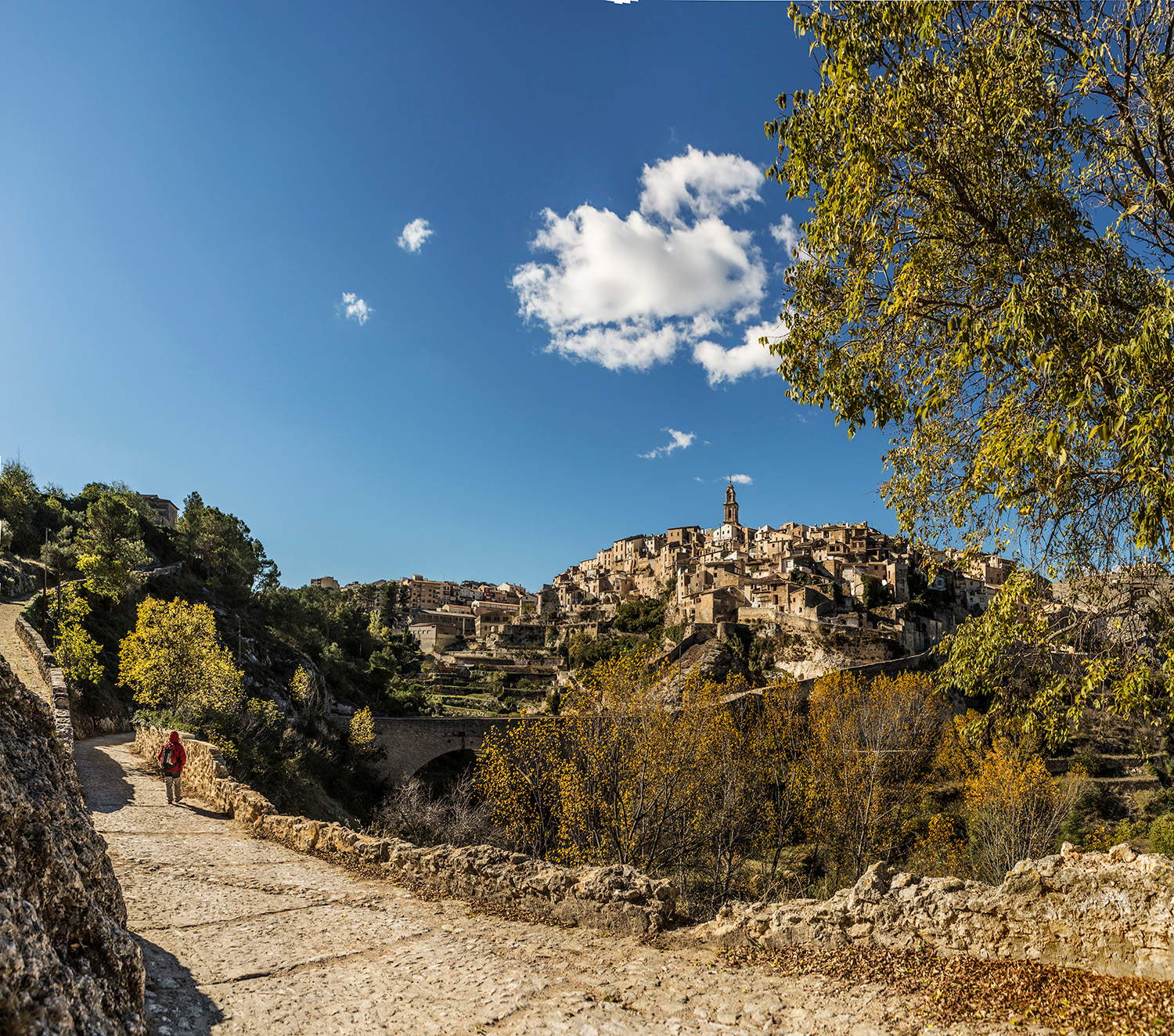 Des del camí del pont vell s'obté una preciosa vista de Boicarent