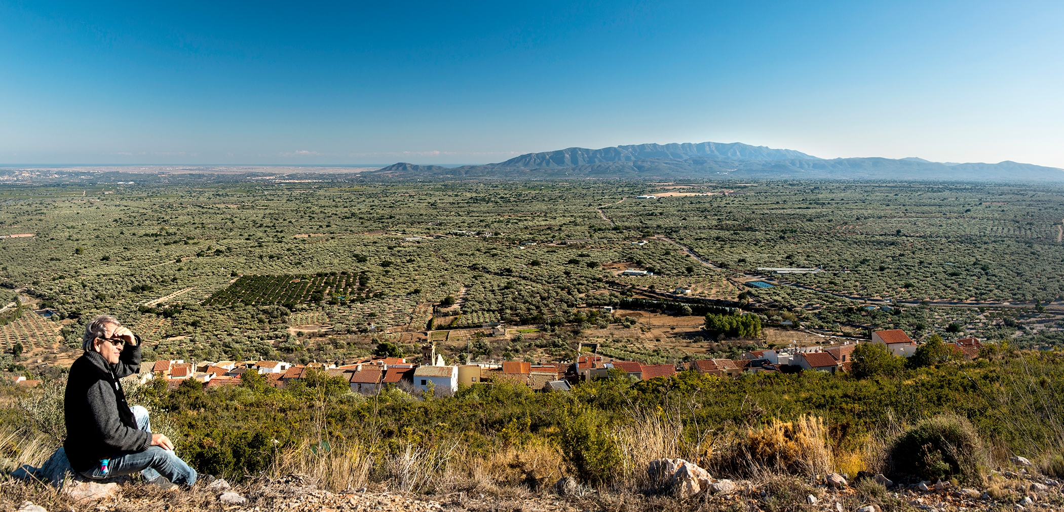 El pla de la Galera i la serra de Montsià s’albiren des del mirador dels Tossals