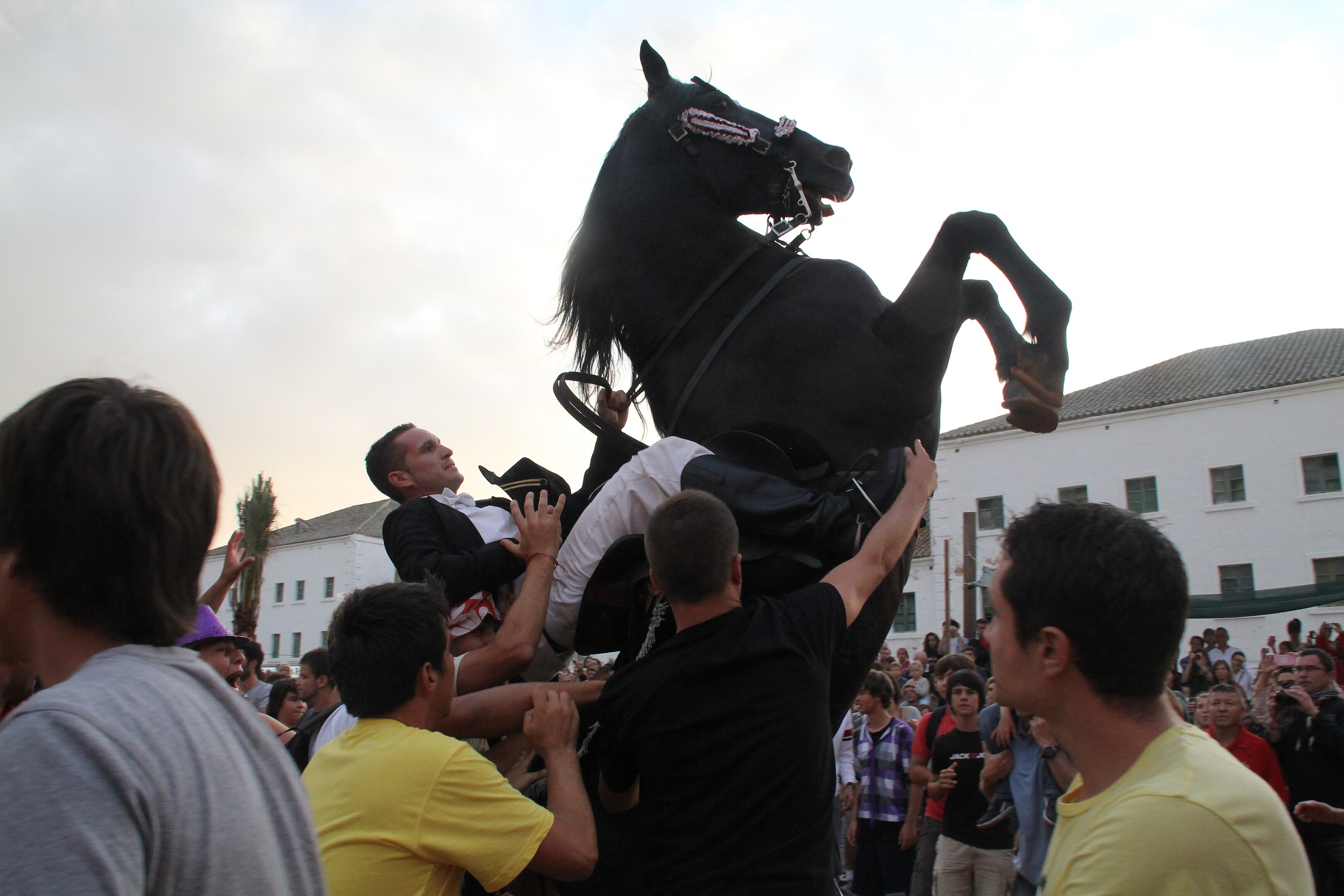 A les festes de Sant Joan de Menorca, l'adrenalina està assegurada A les festes de Sant Joan de Menorca, l'adrenalina està assegurada