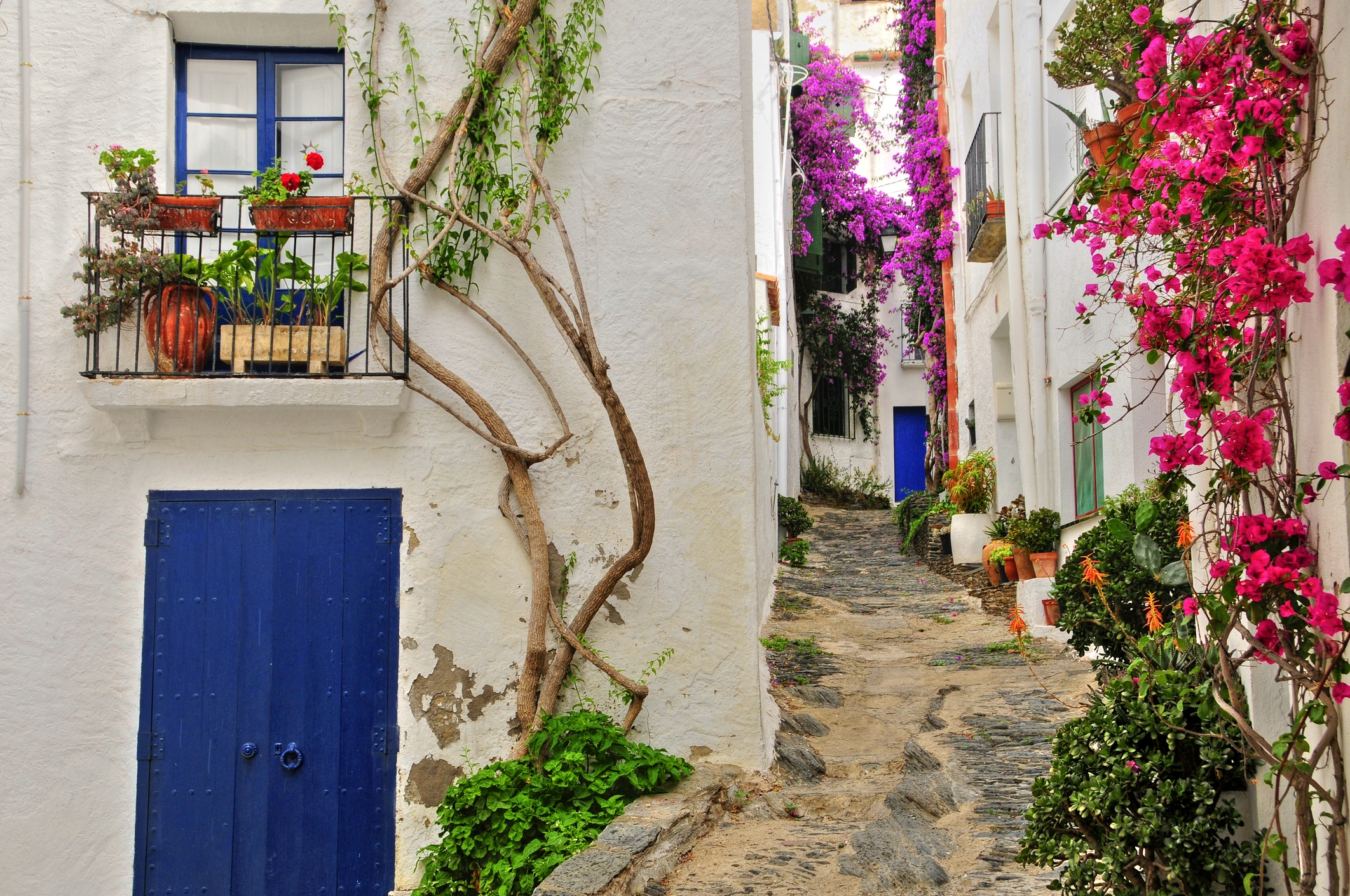 Bonic carrer a Cadaqués Bonic carrer a Cadaqués