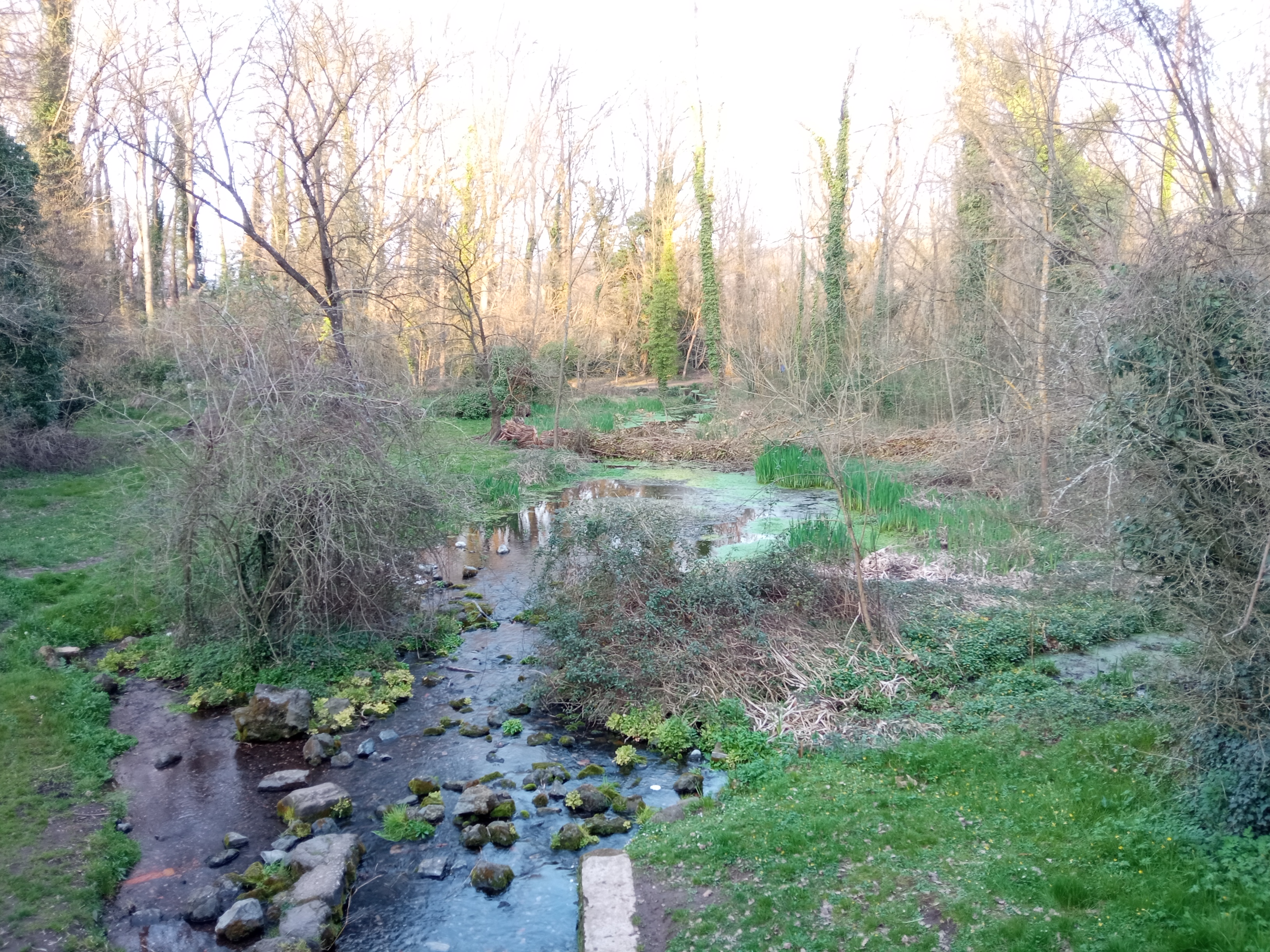 Paistage dels aiguamolls de la Moixina Paistage dels aiguamolls de la Moixina