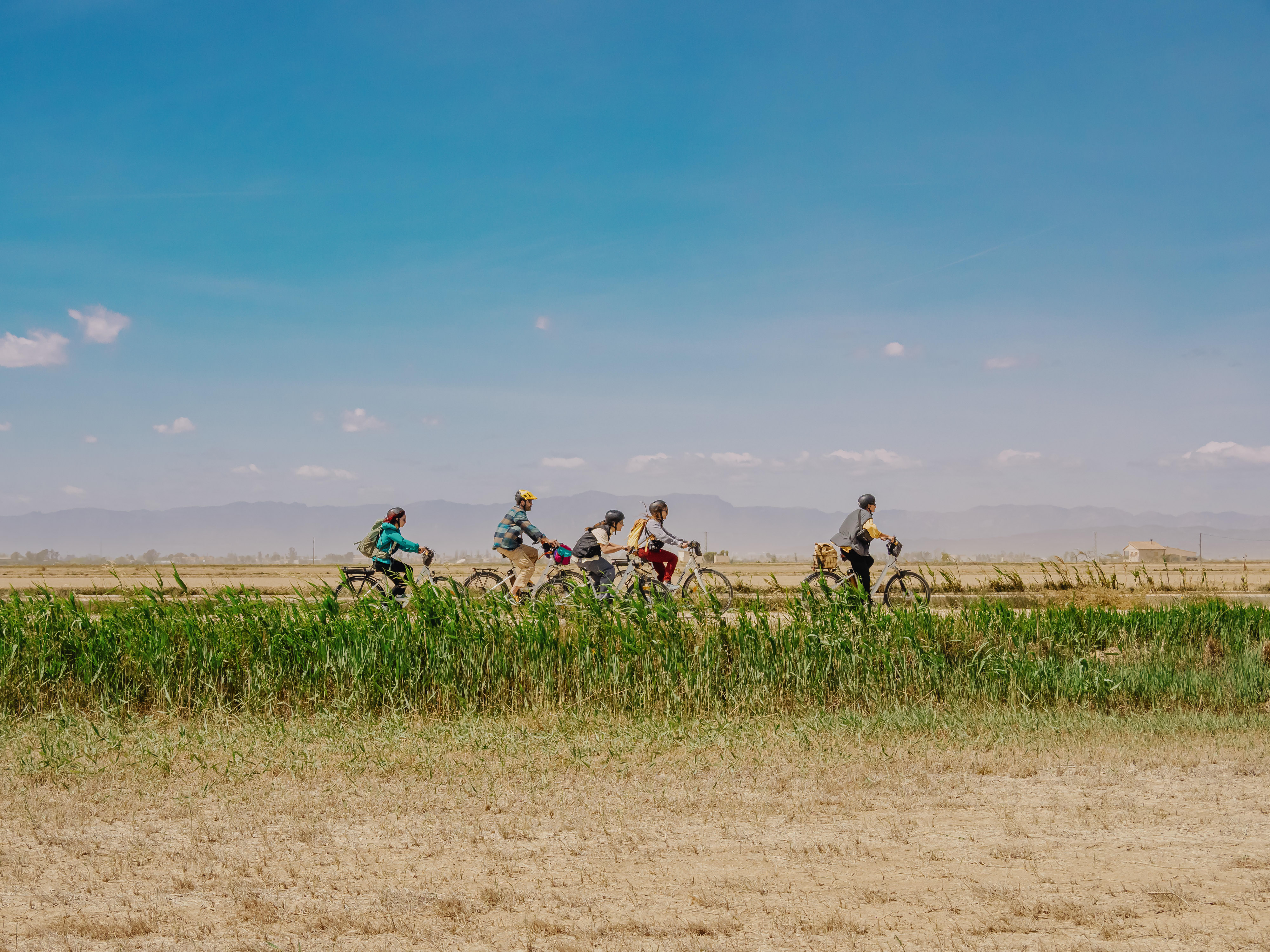 Excursió amb bicicleta pel delta de l'Ebre Excursió amb bicicleta pel delta de l'Ebre