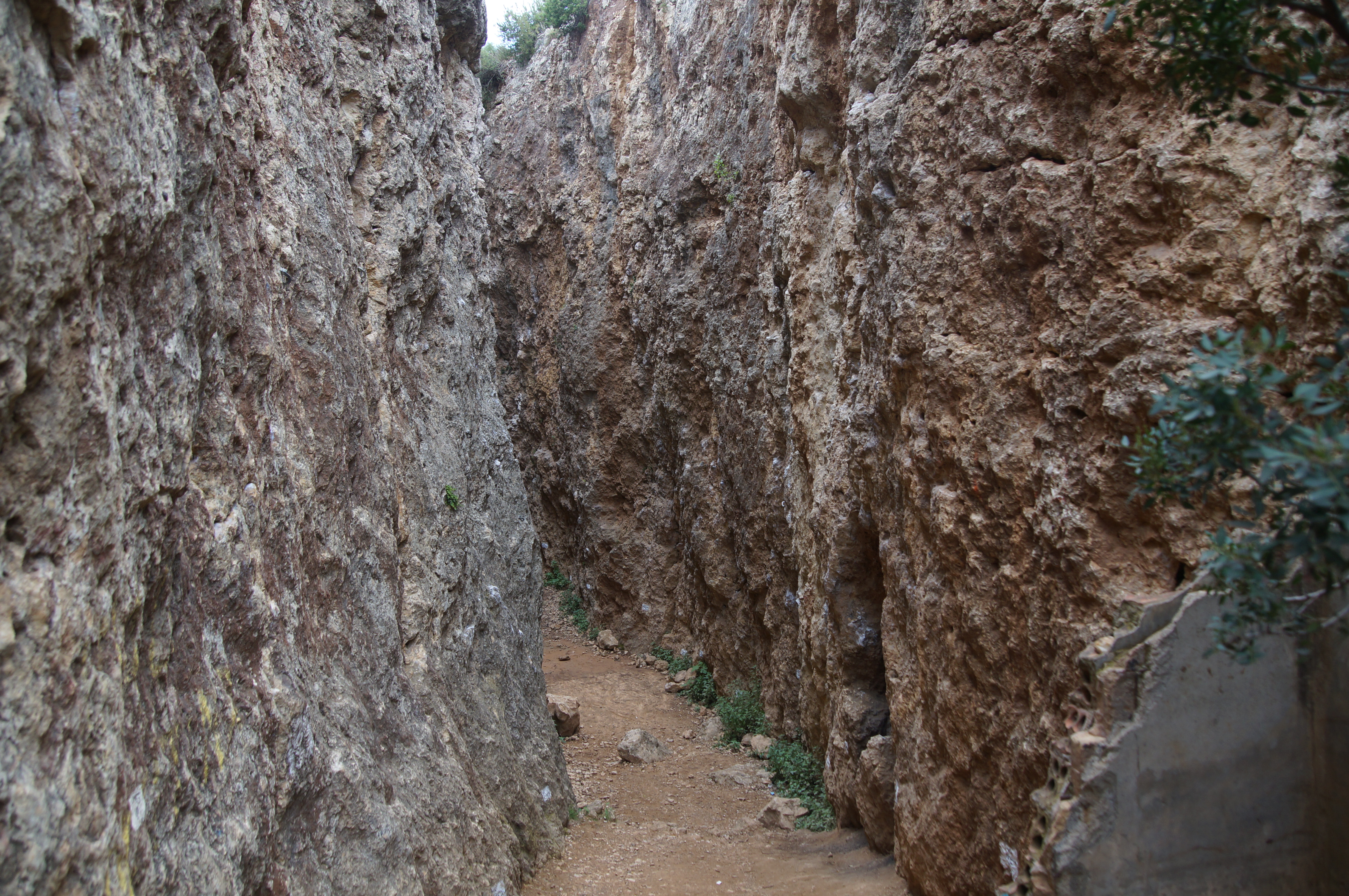Escletxes del Papiol, roques calcàries d’entre 10 i 15 metres d’alt Escletxes del Papiol, roques calcàries d’entre 10 i 15 metres d’alt