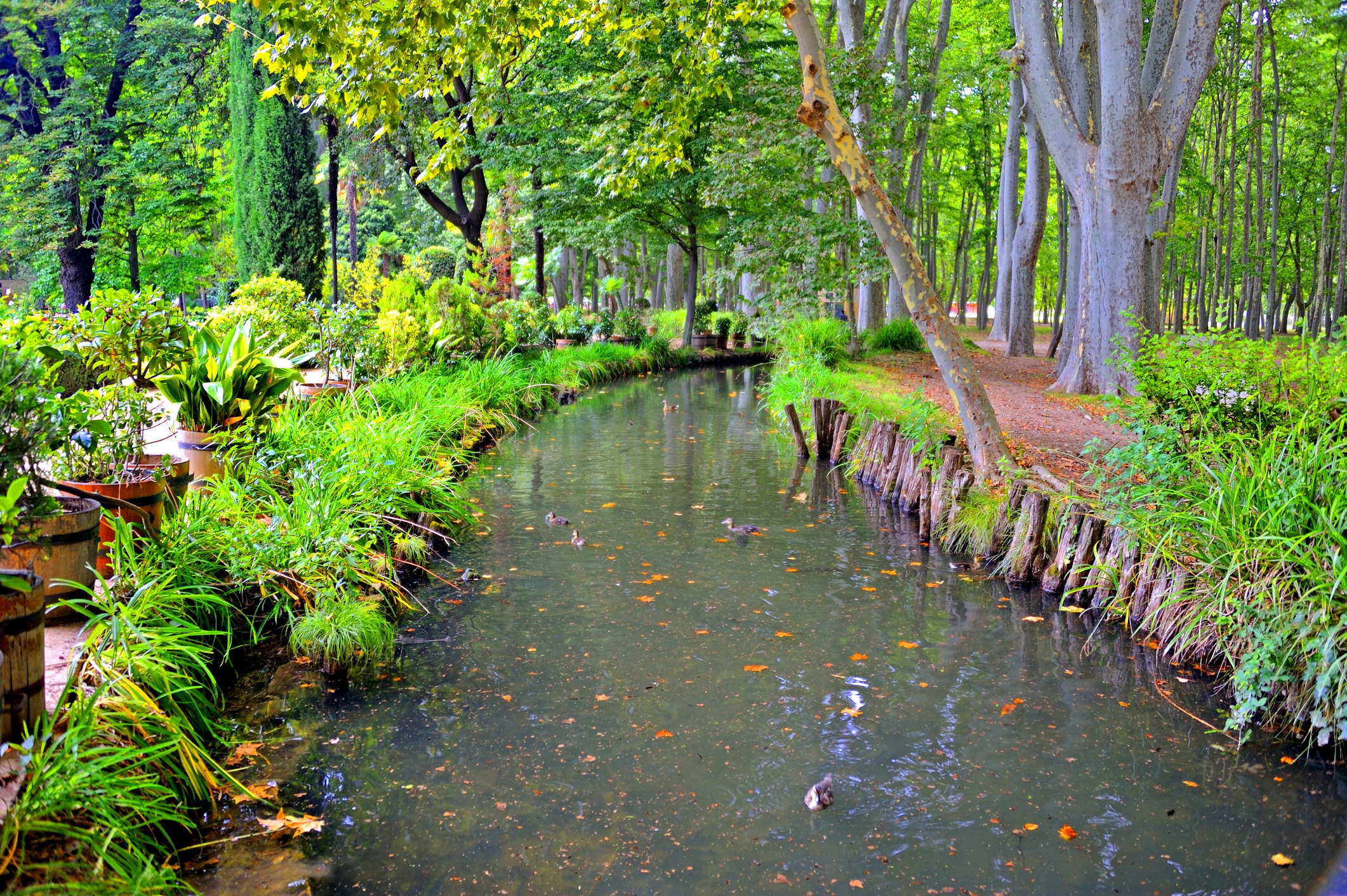 El Parc de la Devesa és el parc urbà més gran de tota Catalunya