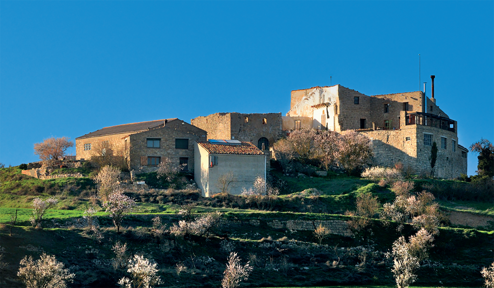 Al camps de Talavera hi regnen els cereals, les oliveres i els ametllers.