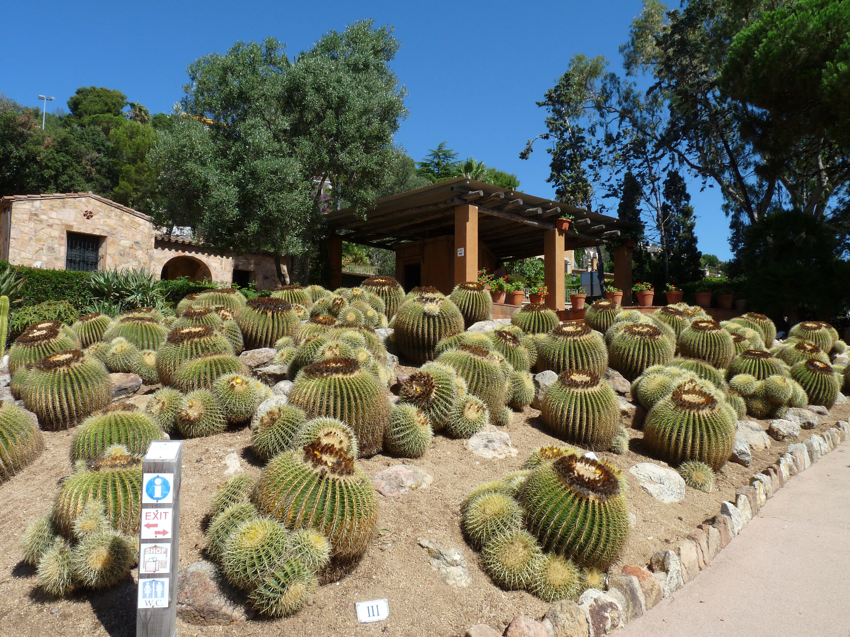 El jardí botànic de Pinya de Rosa.