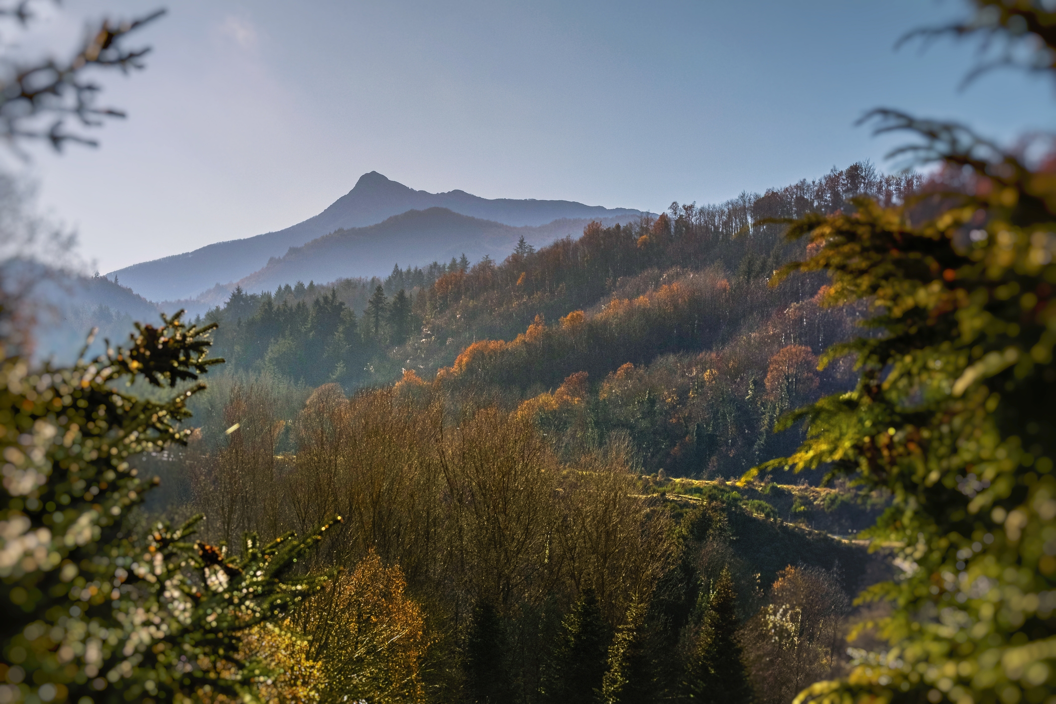 Les muntanyes del Montseny. Les muntanyes del Montseny.