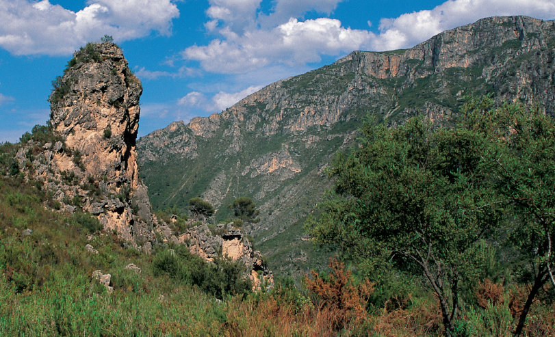 De camí cap al penya-segat de la Finestra, el visitant es troba que la roca va dibuixant formes curioses, com aquesta petita agulla.
