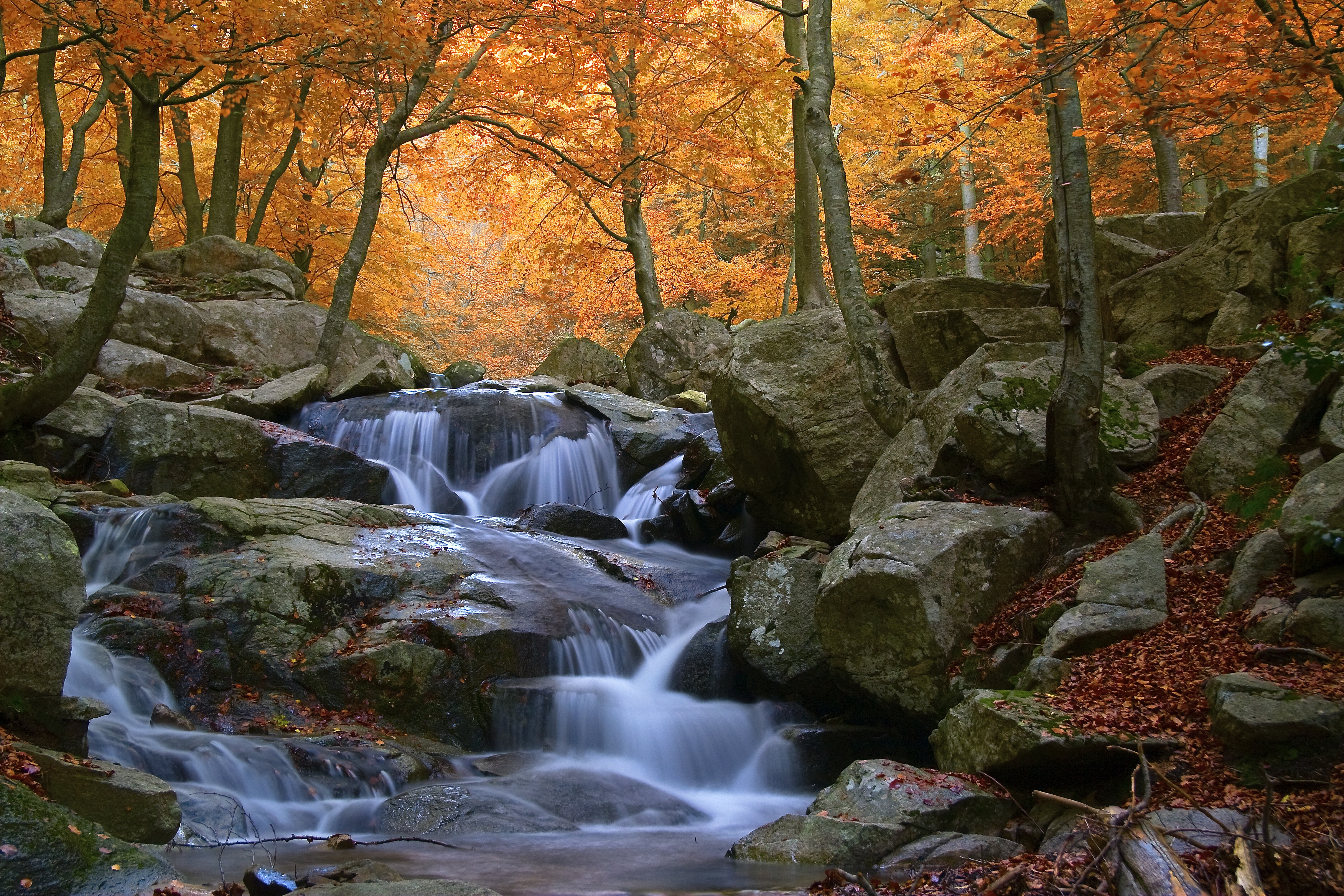 Cascada al Parc Natural del Montseny Cascada al Parc Natural del Montseny
