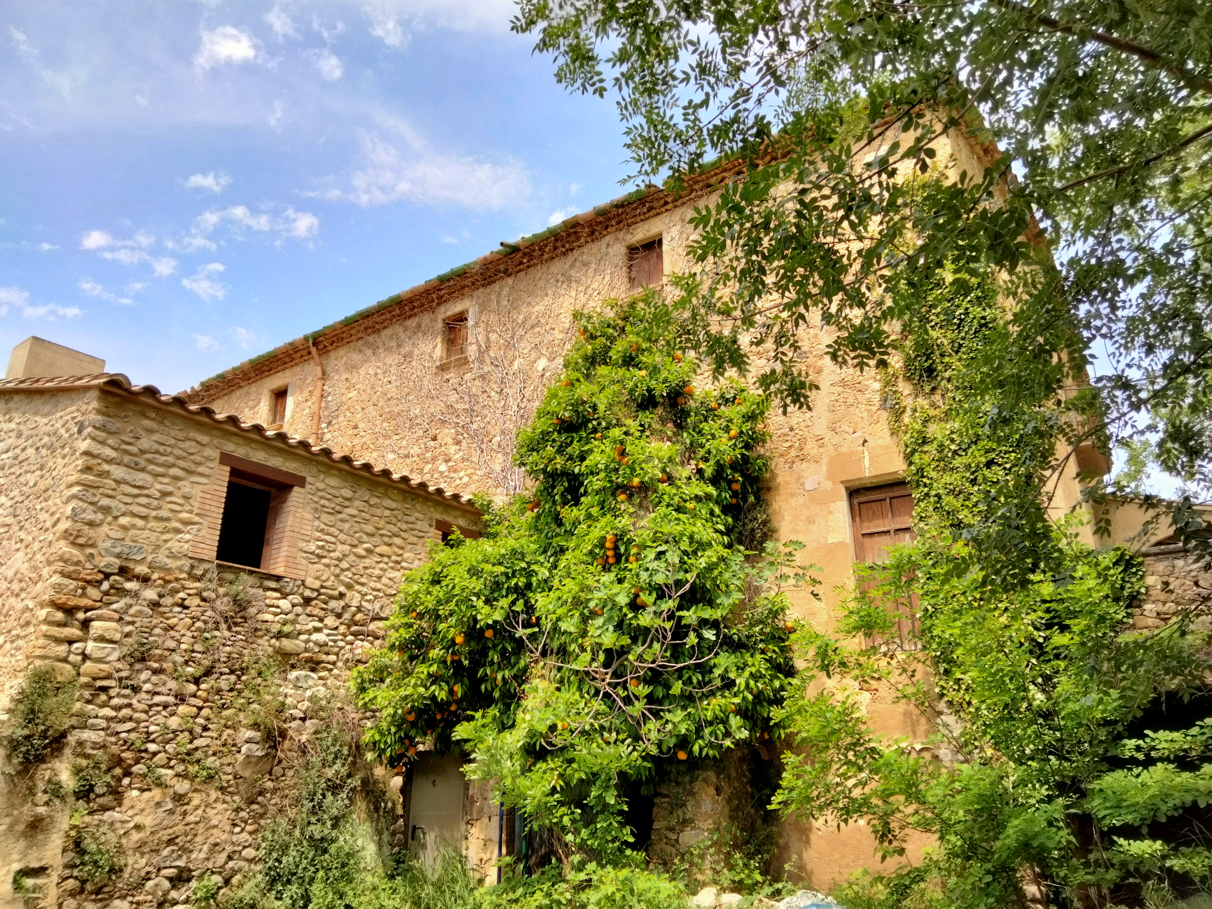 Can Damont, casa pairal a Orfes Can Damont, casa pairal a Orfes