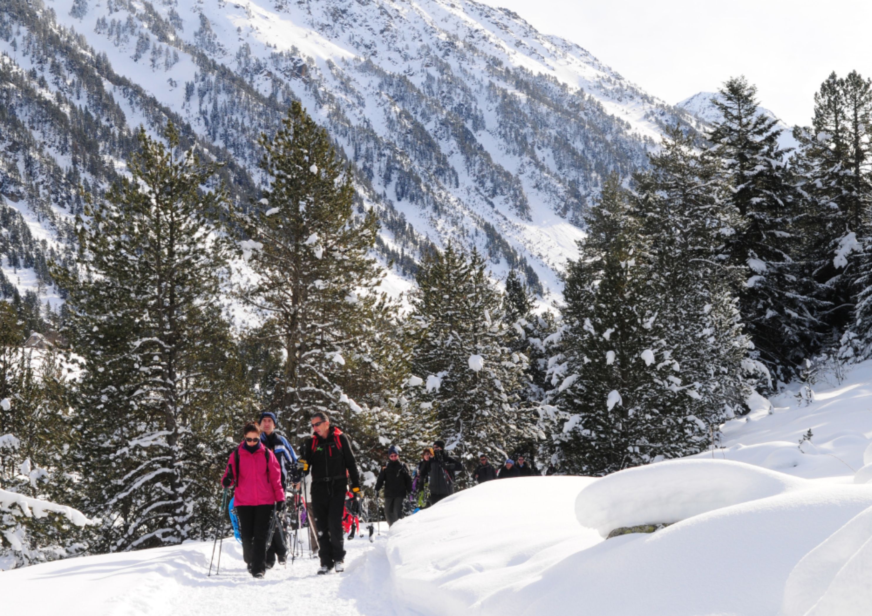 Les raquetes de neu permeten caminar més còmodament per la neu Les raquetes de neu permeten caminar més còmodament per la neu