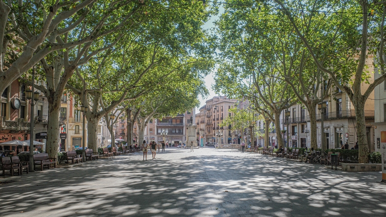 Escena quotidiana a la Rambla de Figueres Escena quotidiana a la Rambla de Figueres
