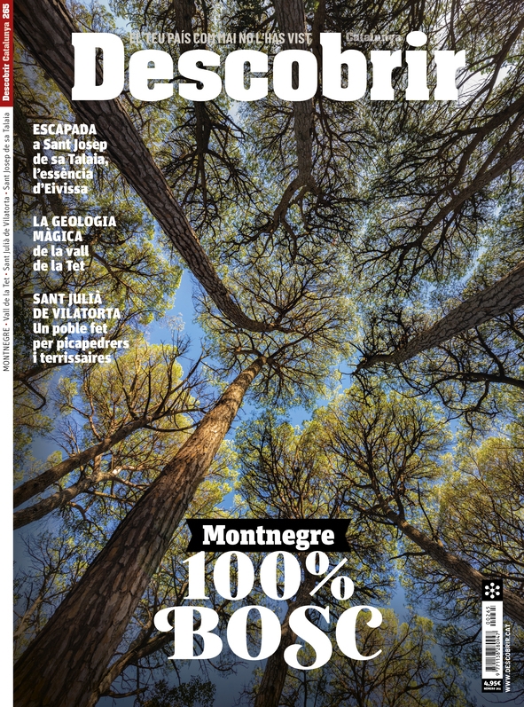 Portada Montnegre - Descobrir 265 Portada Montnegre - Descobrir 265