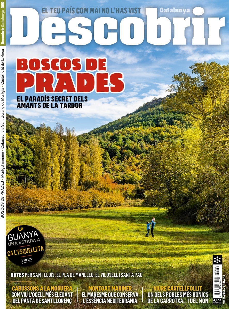 Portada boscos de Prades - DESCOBRIR 260 Portada boscos de Prades - DESCOBRIR 260