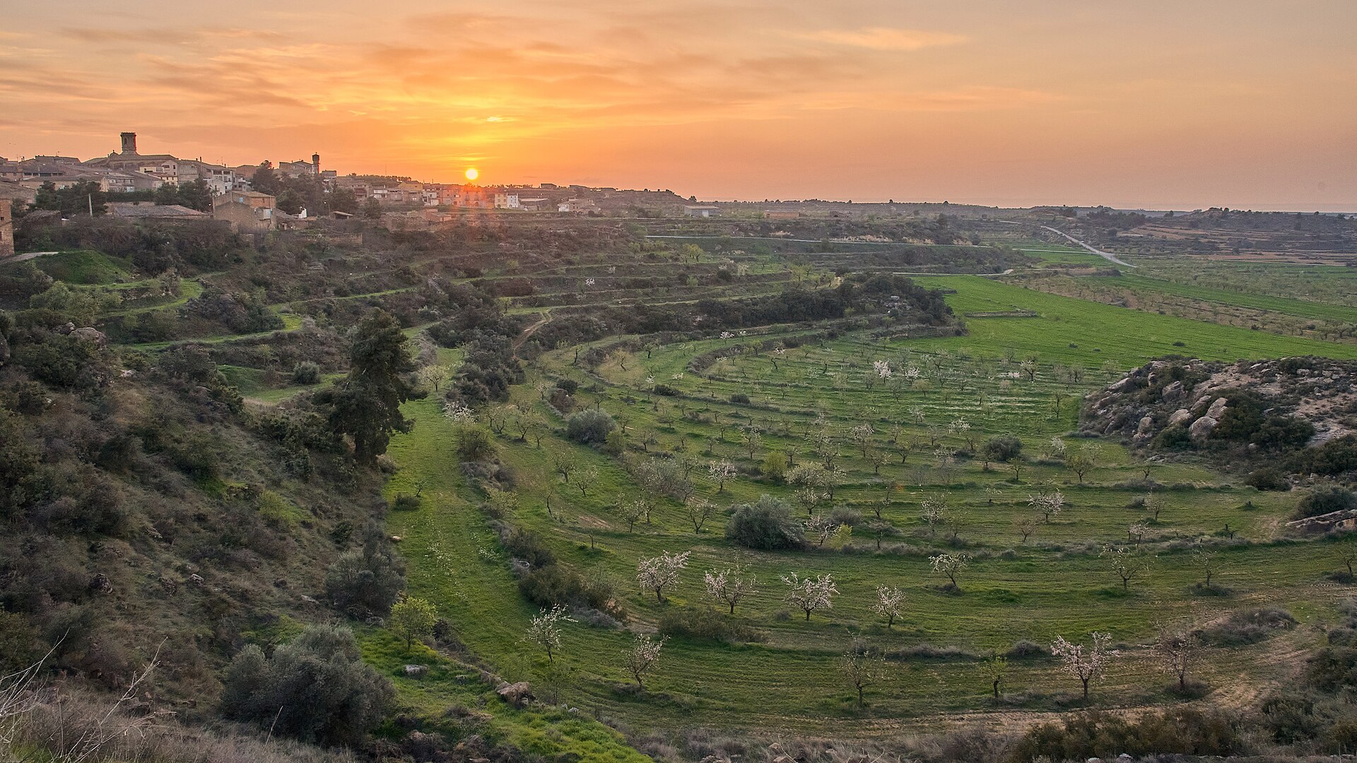 Vista de Granyena de les Garrigues