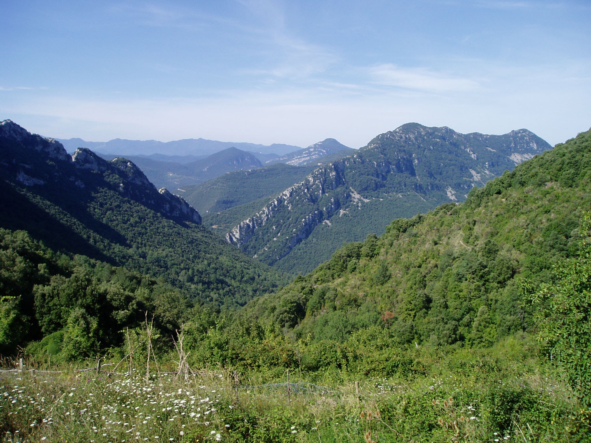 La vall d’Hortmoier des de Talaixà La vall d’Hortmoier des de Talaixà