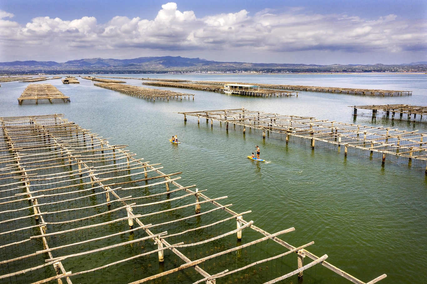 A la badia del Fangar, davant la costa de l’Ampolla, hi ha conreus marins de musclos, ostrons i cloïsses.
