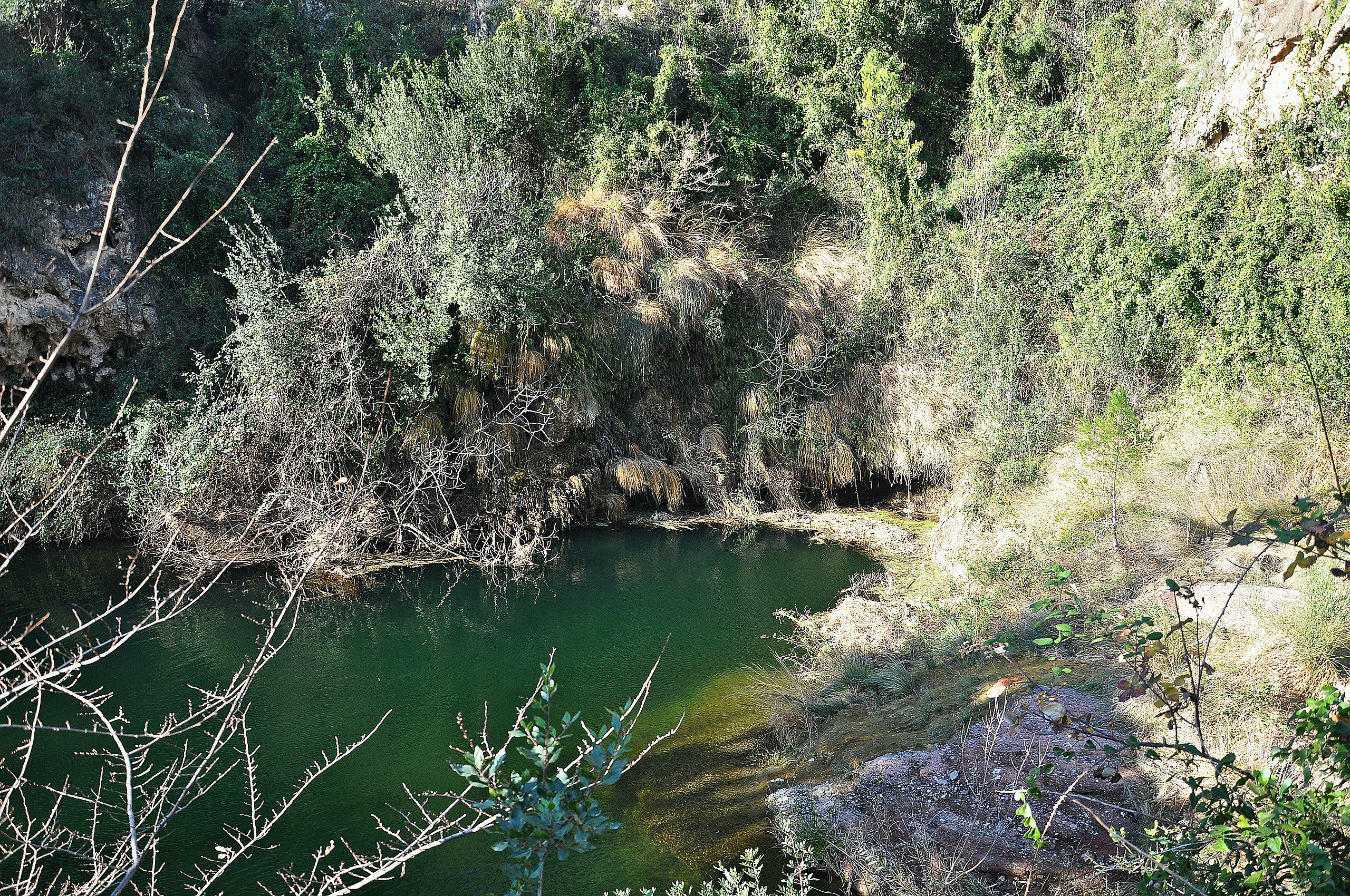 Gorg Negre de Riells