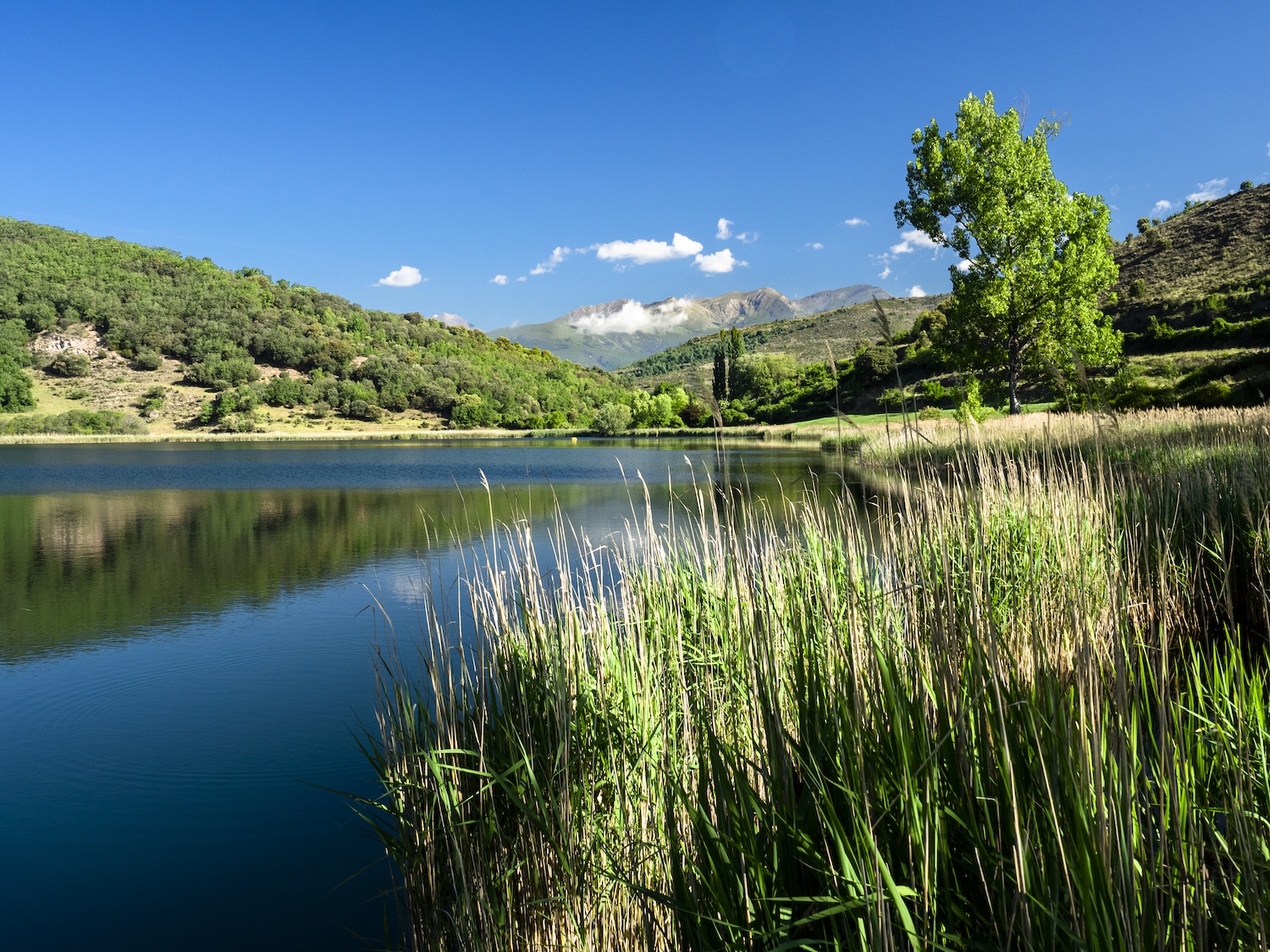 La ruta senderista del Cinquè Llac és un itinerari circular al voltant de l’estany de Montcortès que recorre grans paisatges prepirinencs per camins tradicionals
