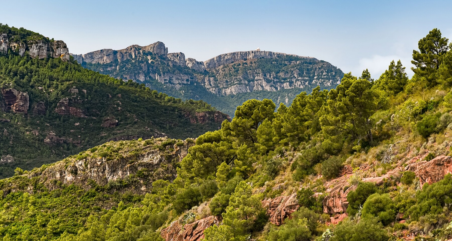 El festival senderista ha recorregut la serra de Llaberia El festival senderista ha recorregut la serra de Llaberia