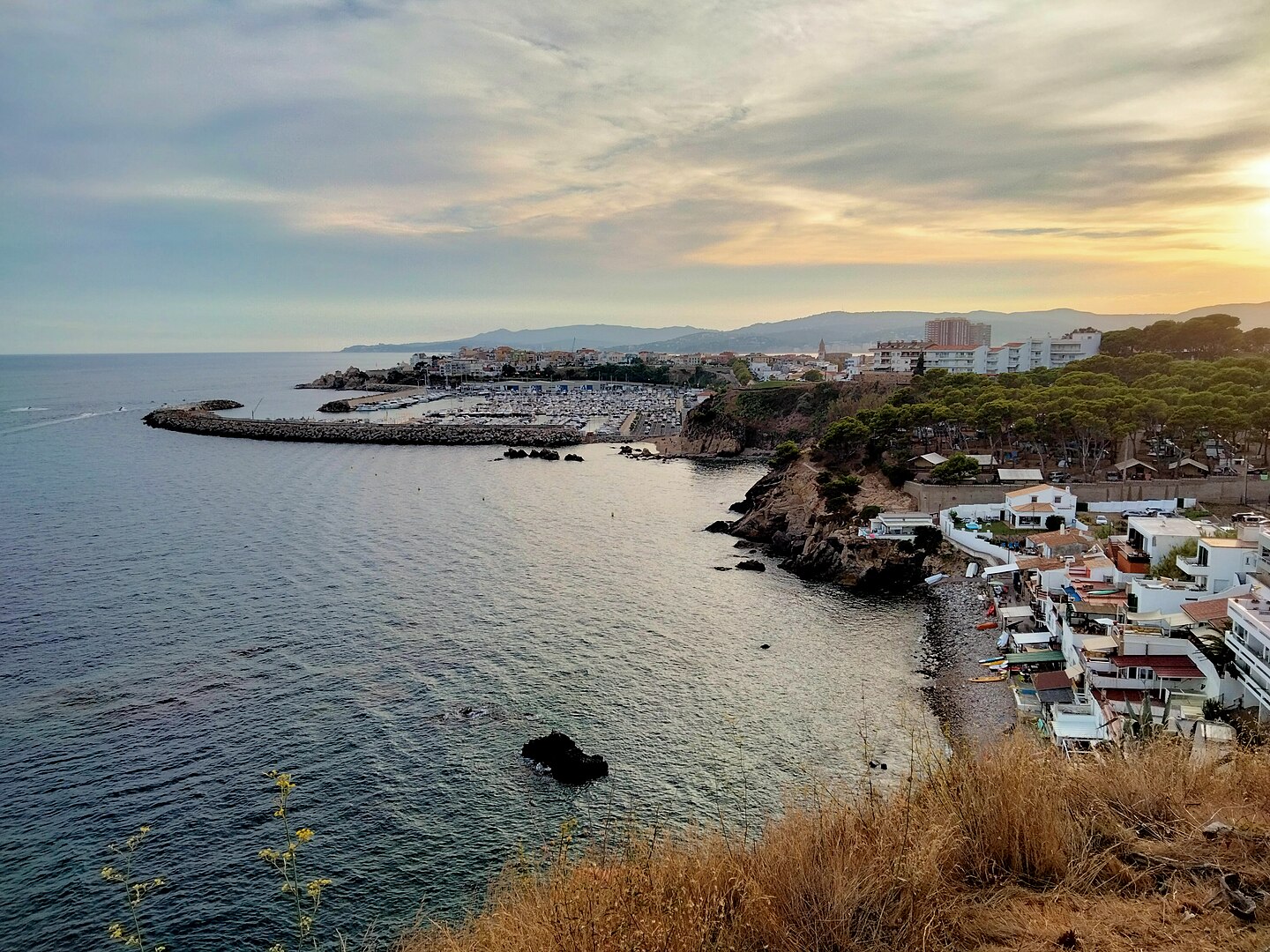 L’absència de vegetació permet una àmplia vista sobre la vall d’Aro, amb el mar i el port de Palamós