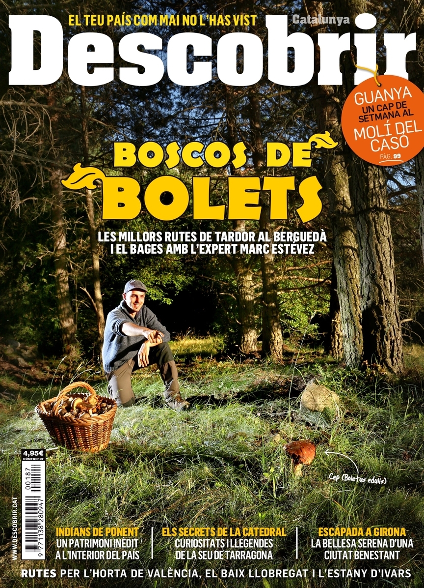 Portada Boscos de bolets - Descobrir 187 Portada Boscos de bolets - Descobrir 187
