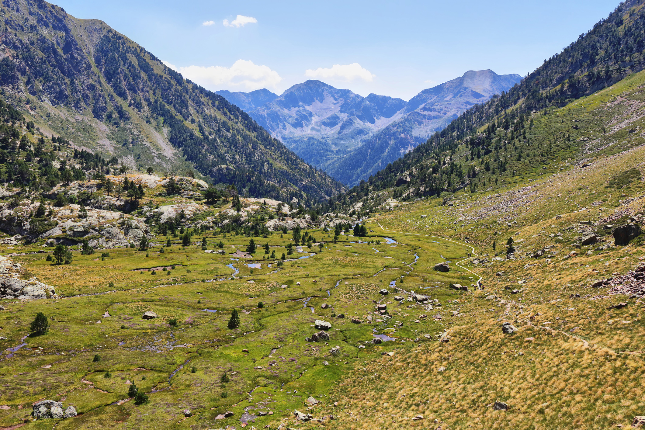 El Pirineu és una de les zones on treballa DCB Turisme i Desenvolupament Local