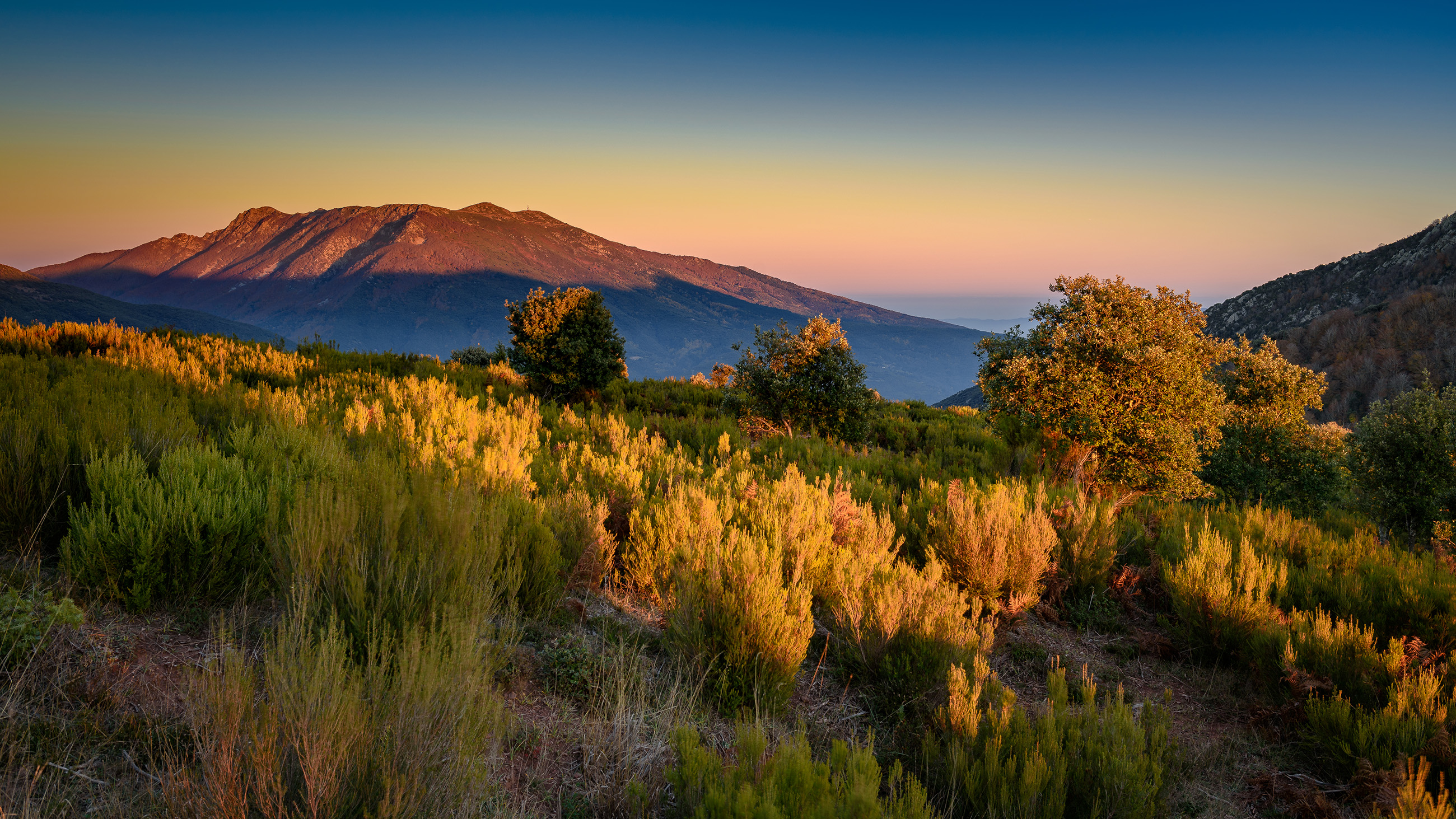 L'estela va ser trobada al Pla de la Calma, d'on rep el nom, tot i que ara es pot veure al poble del Montseny