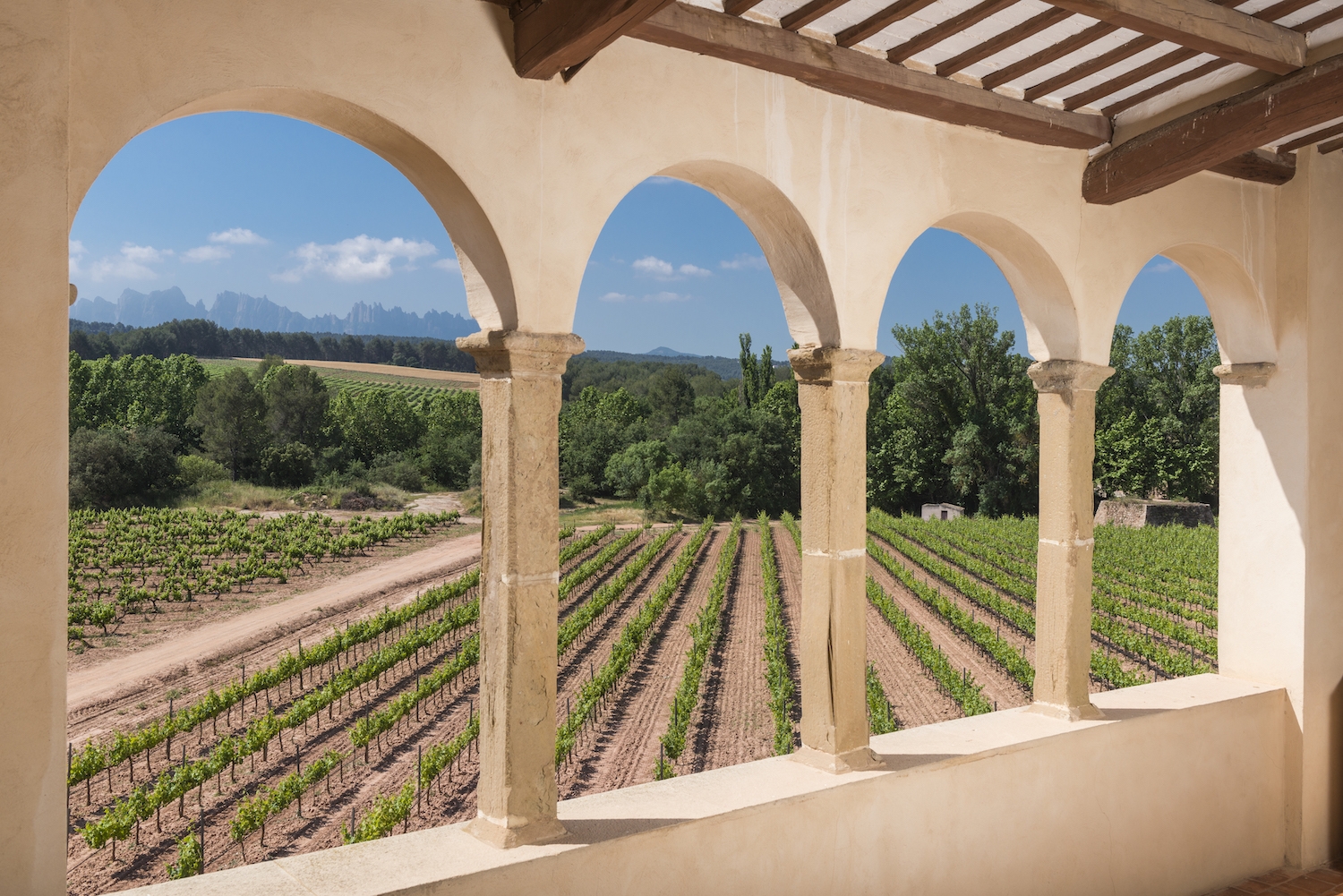La vista des de la galeria porxada de la masia fortificada de l’heretat Oller del Mas és privilegiada, amb les vinyes i Montserrat al fons