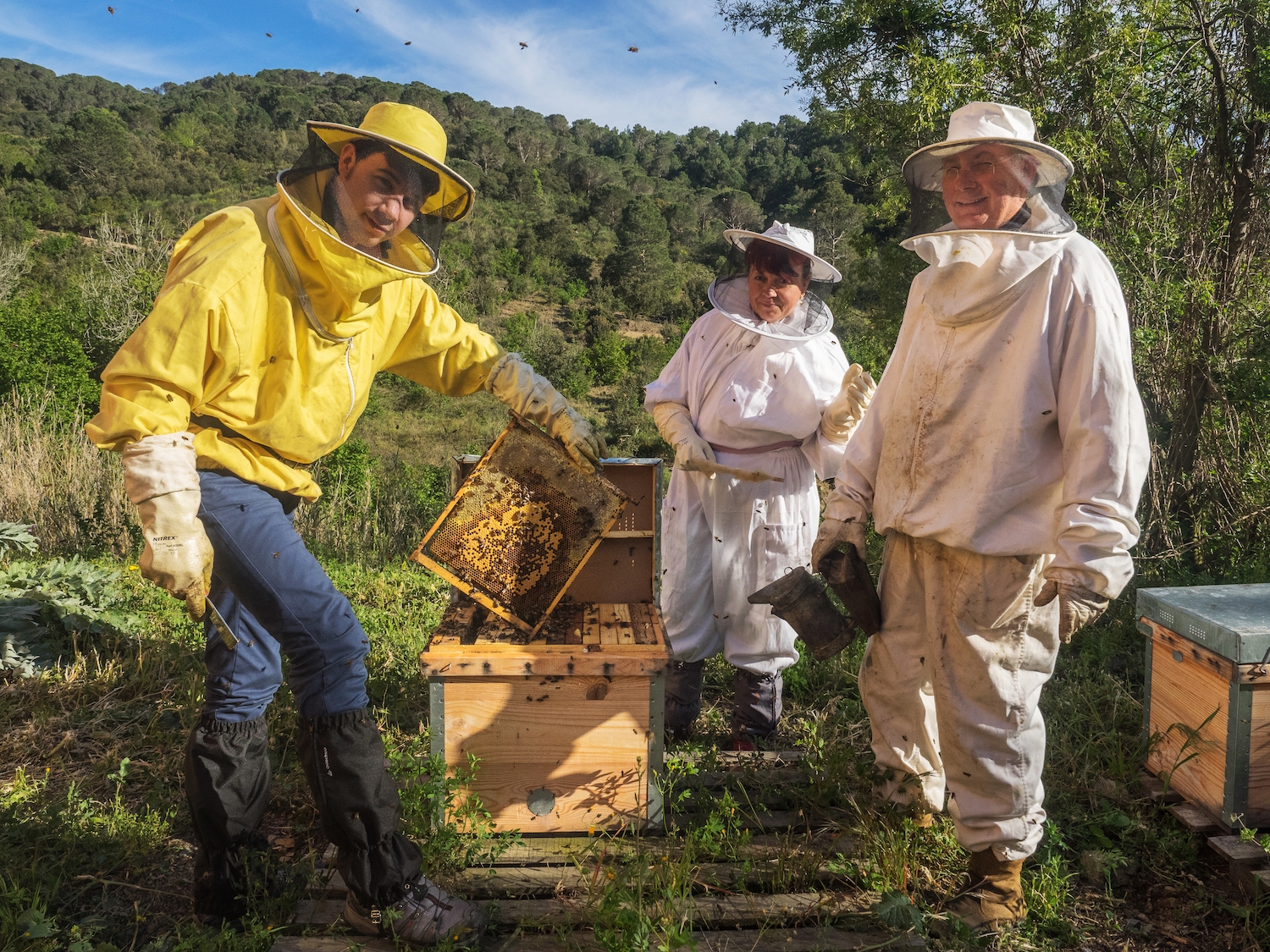 El jove apicultor Joan Viñas mostra una bresca de mel acompanyat dels seus pares a les arnes que té a tocar del celler Mas del Botó, a la vall de Cortiella, a Alforja
