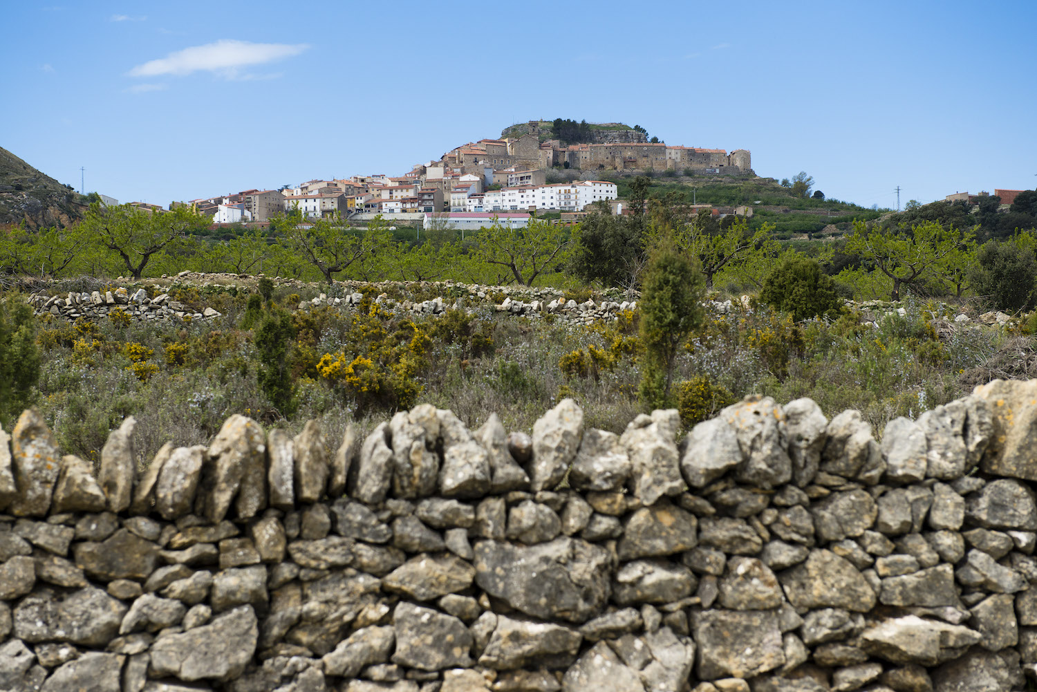 Quan Balasc d’Alagó va reconquerir Culla als musulmans el 1233 el castell ja hi era